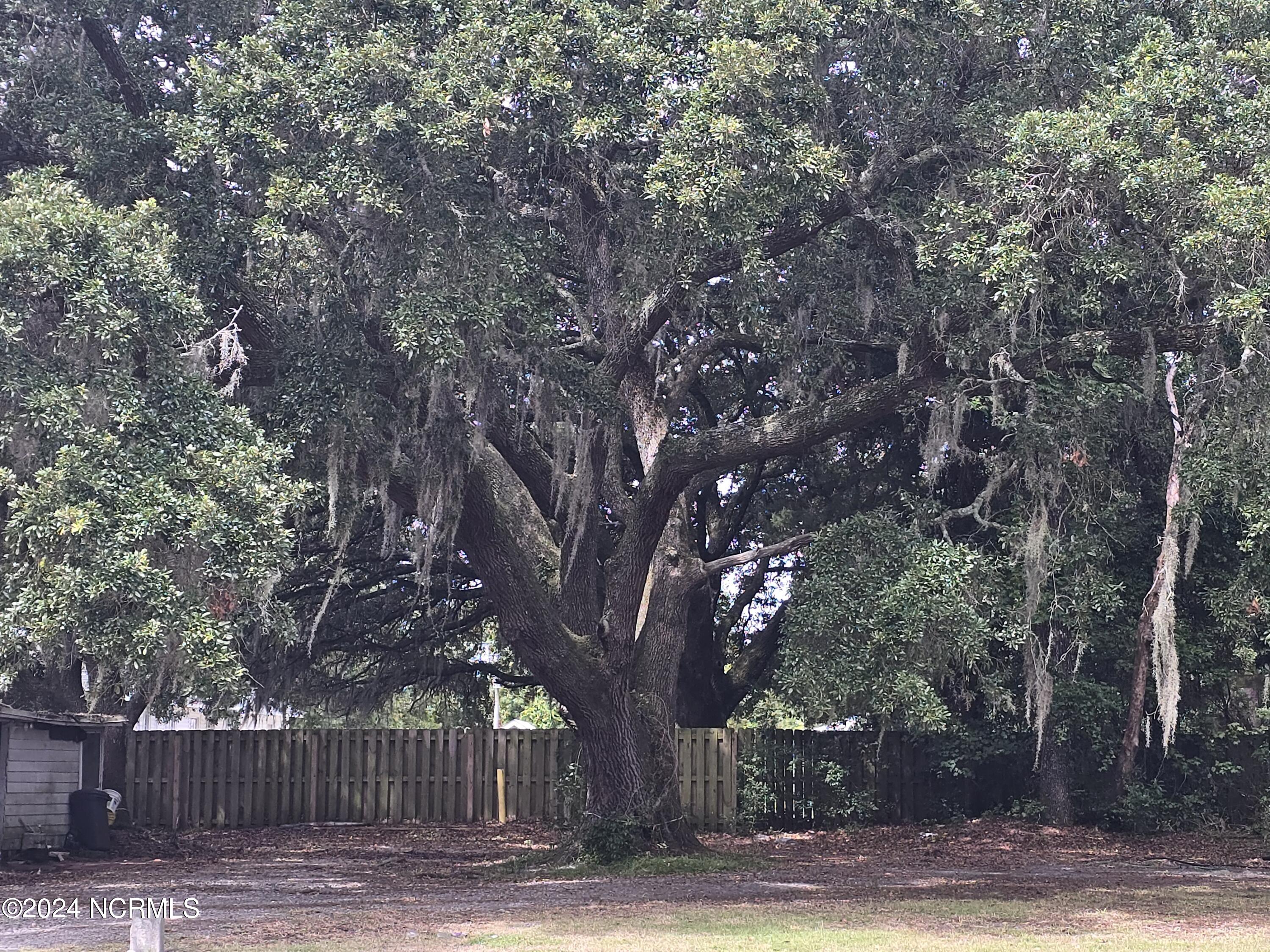 100466461 | Photo 18