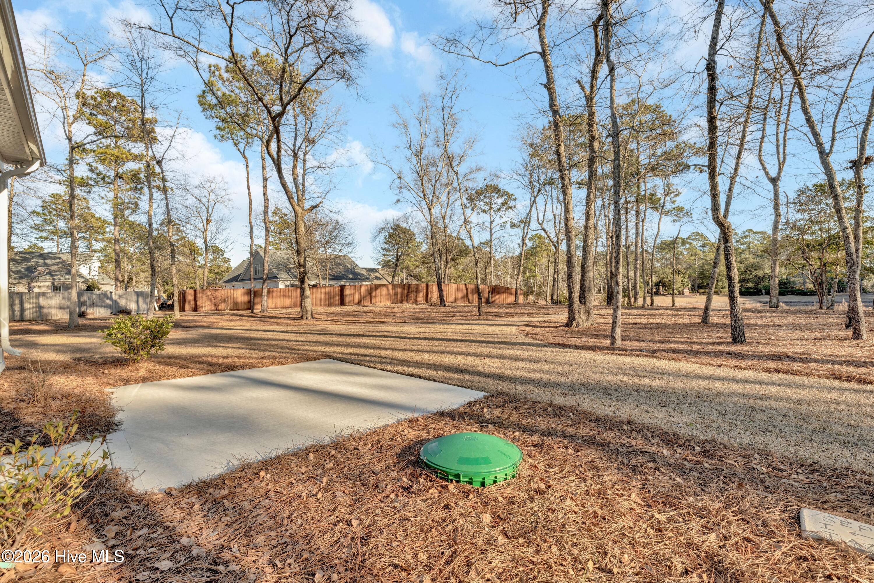 100551987 | Photo 39