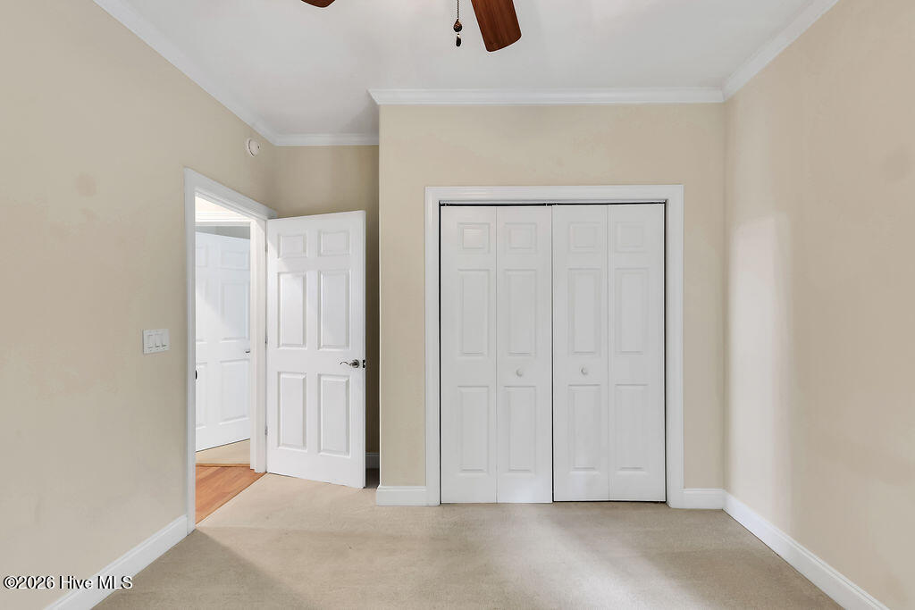 100558712 | Photo 30