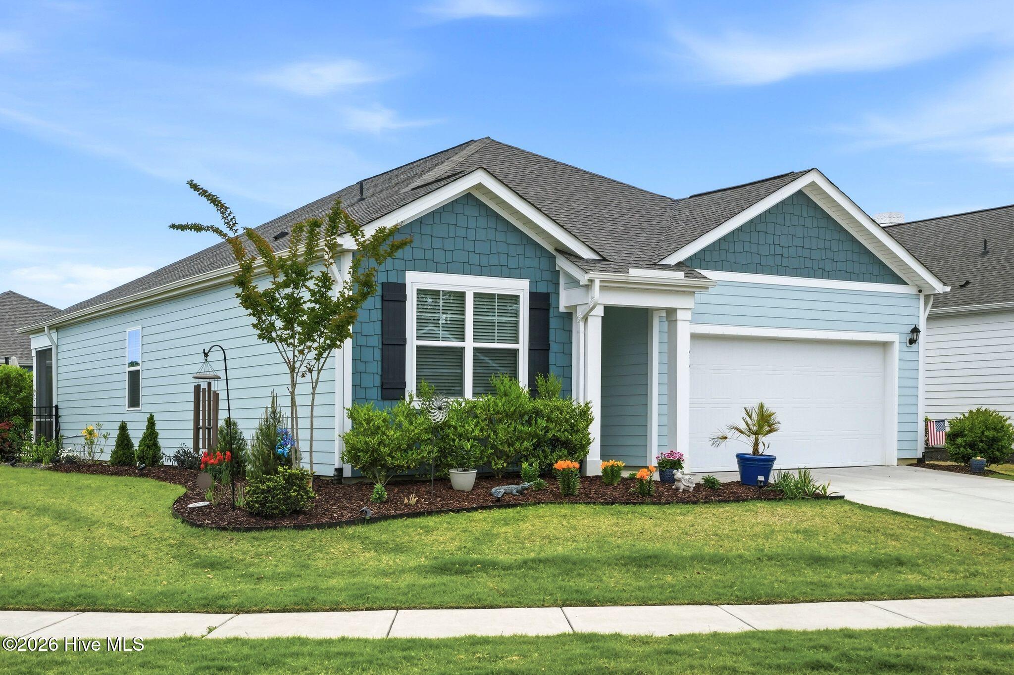 100531826 | Photo 100