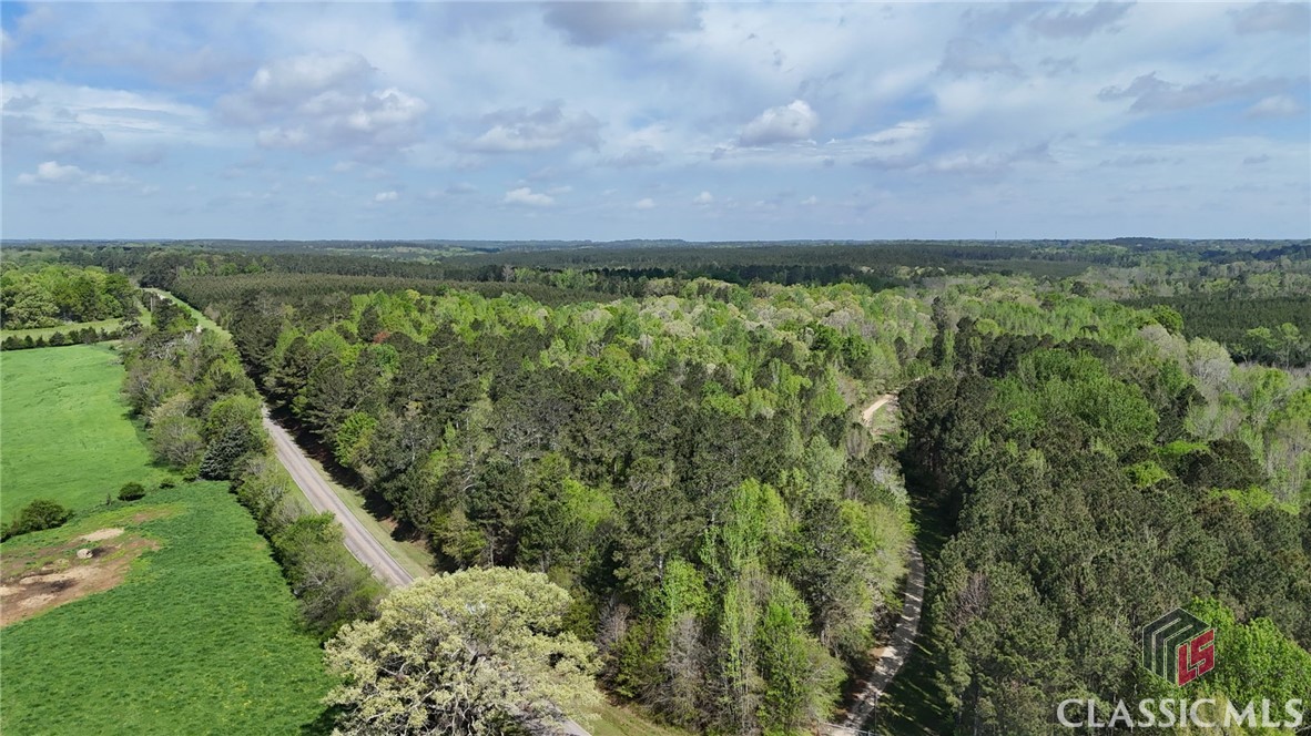 Homes for sale in Washington, GA | 1569 Skull Shoals Rd, Washington, GA 30673 | MLS# CM1025156