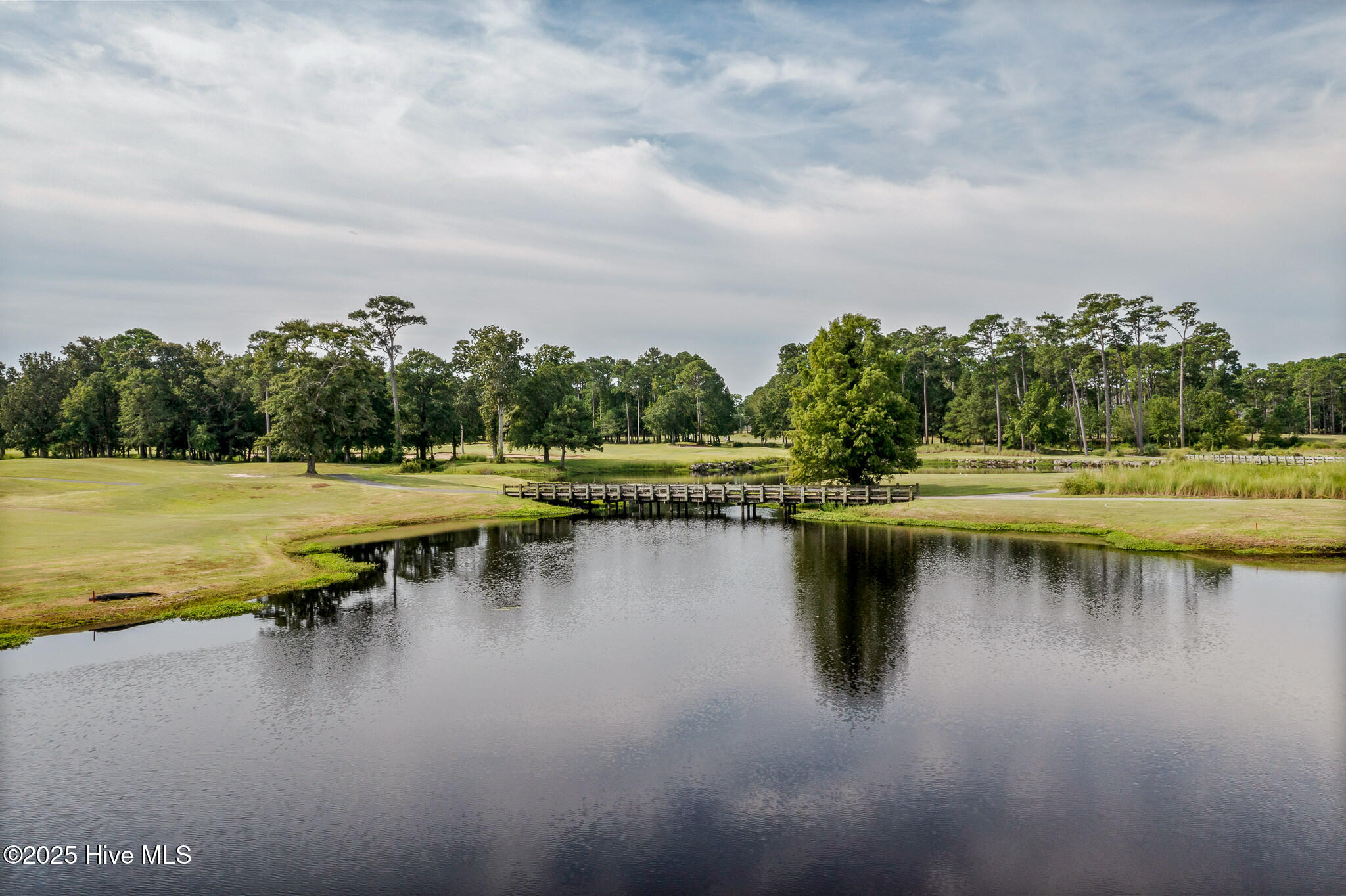 100528098 | Photo 47