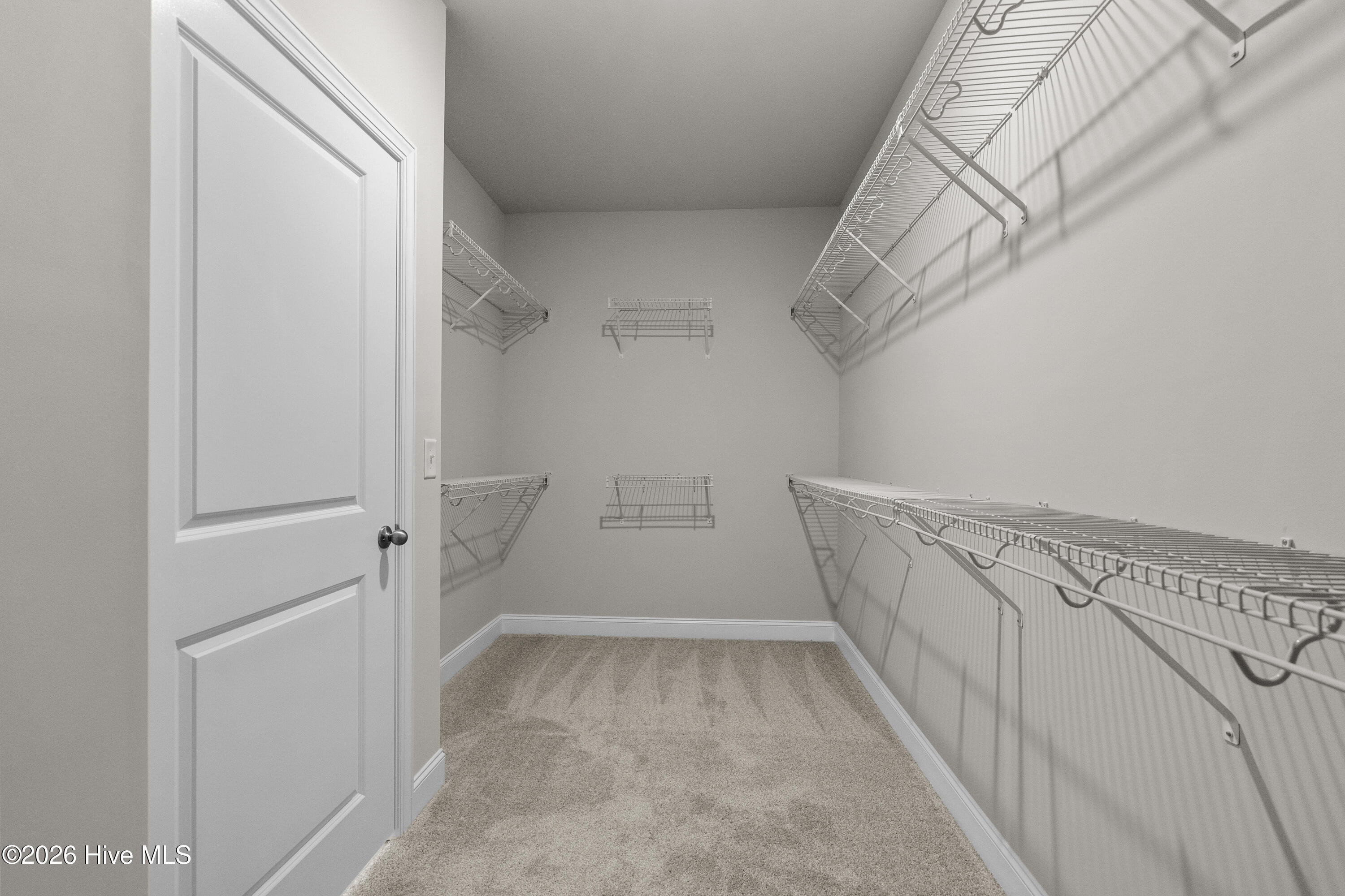 100568296 | Photo 12