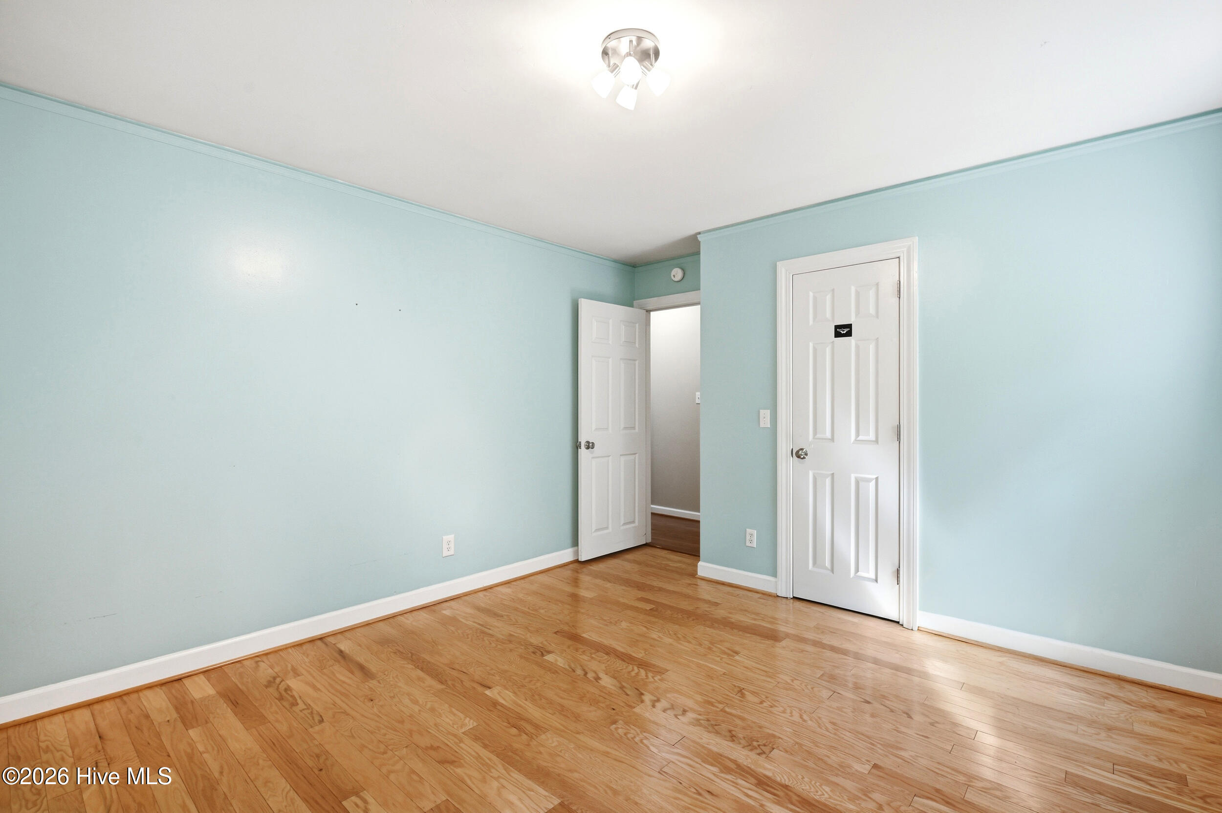 100570431 | Photo 38