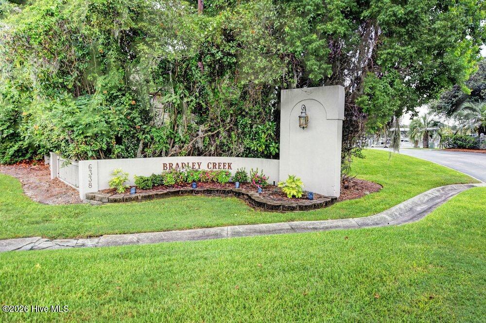 100562506 | Photo 31