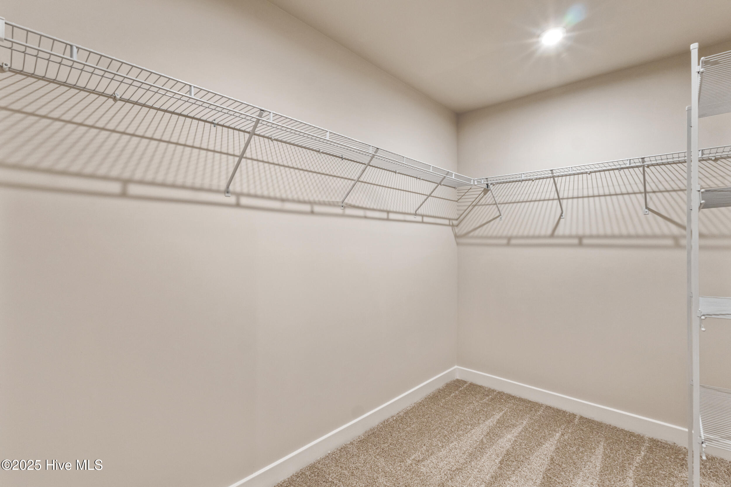 100537228 | Photo 24