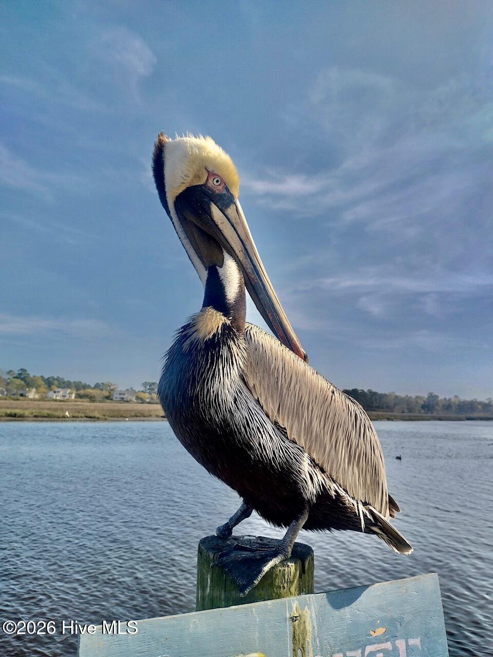 100557322 | Photo 35