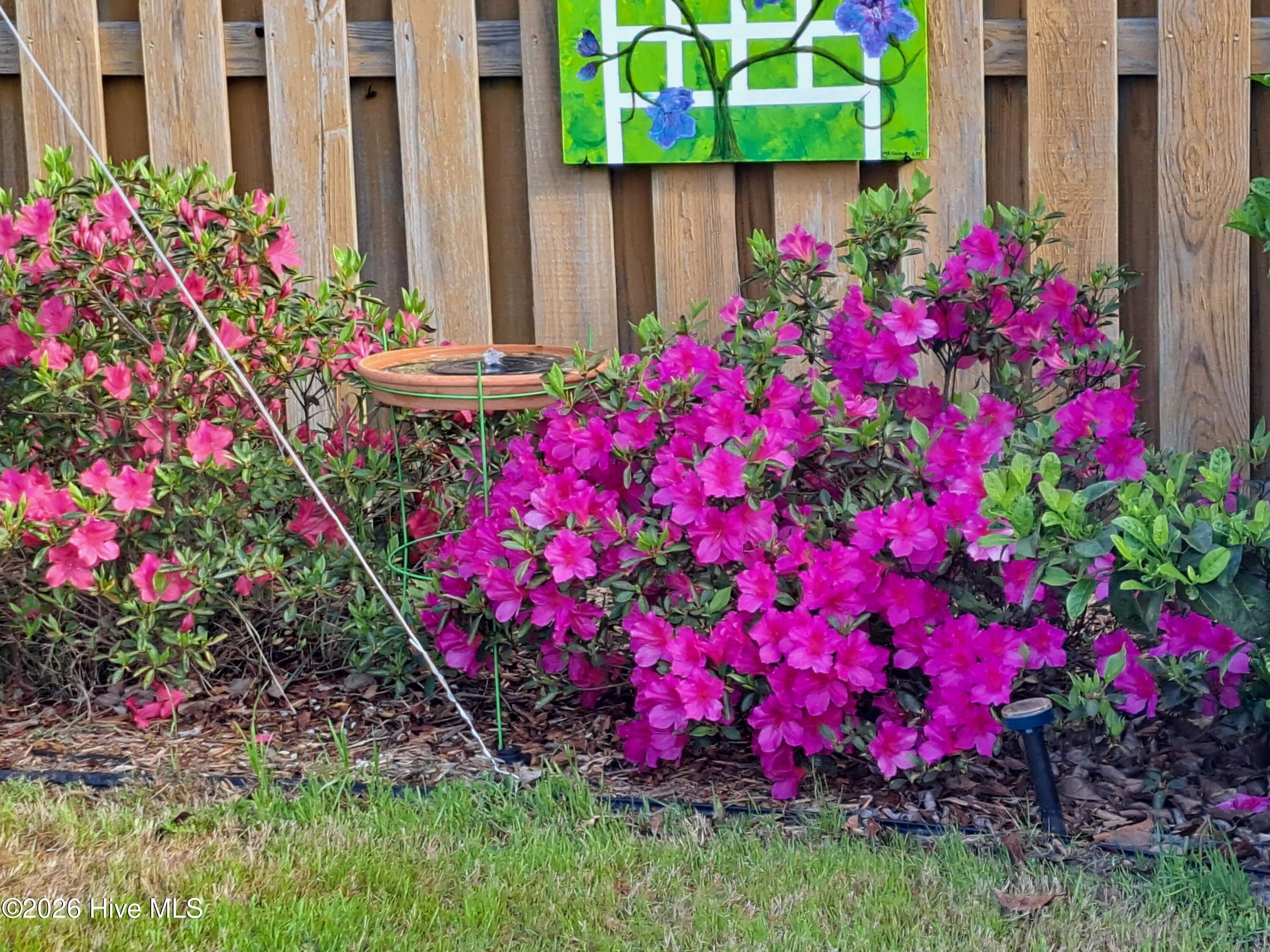 100551829 | Photo 58