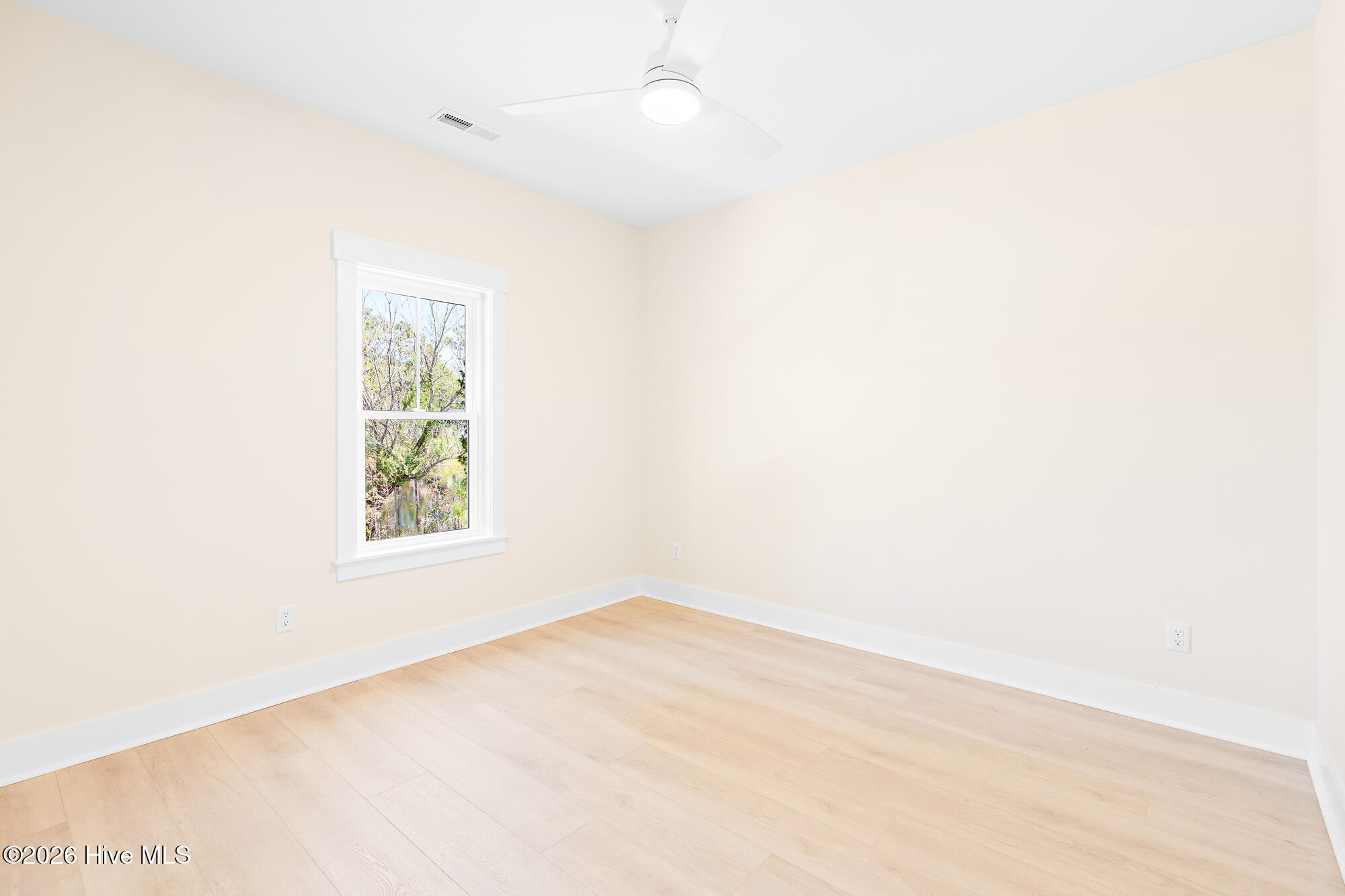 100565592 | Photo 32