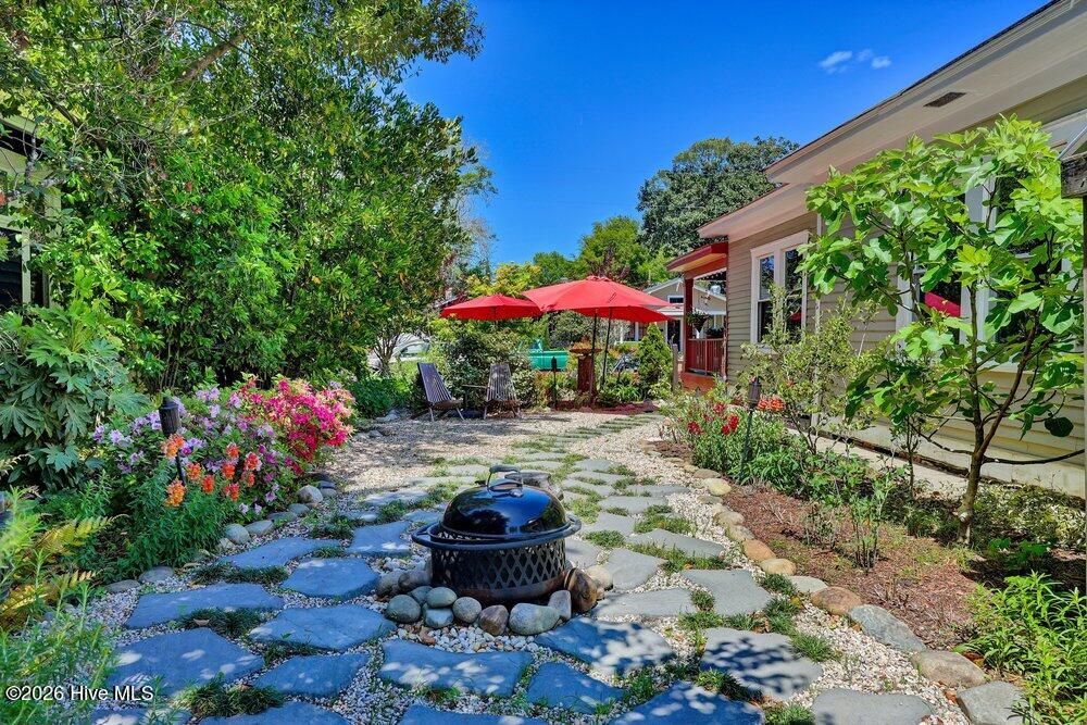 100566675 | Photo 33