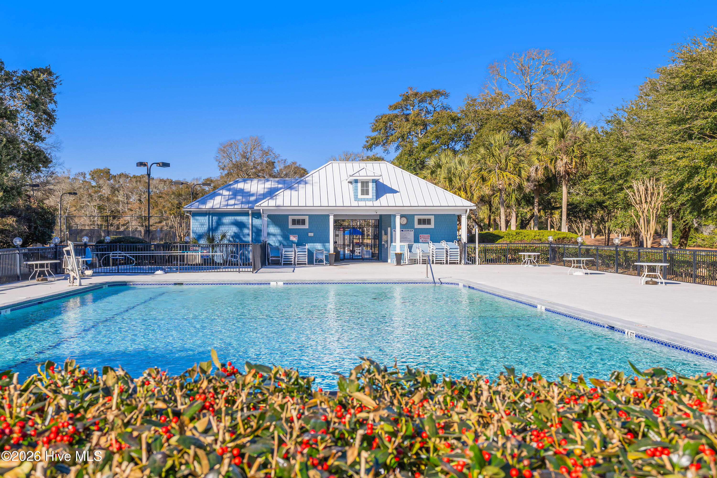 100557802 | Photo 33