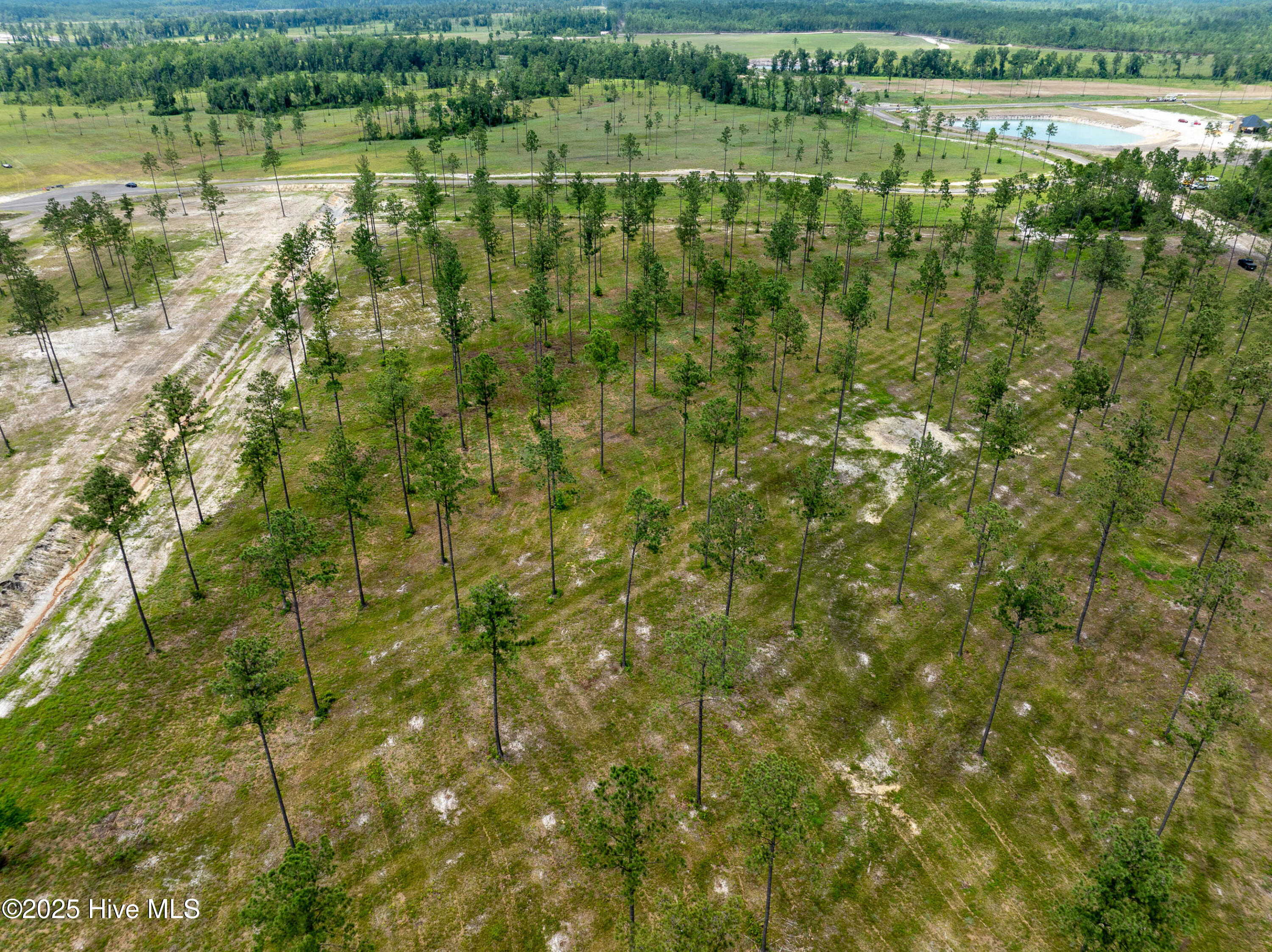 100520208 | Photo 16