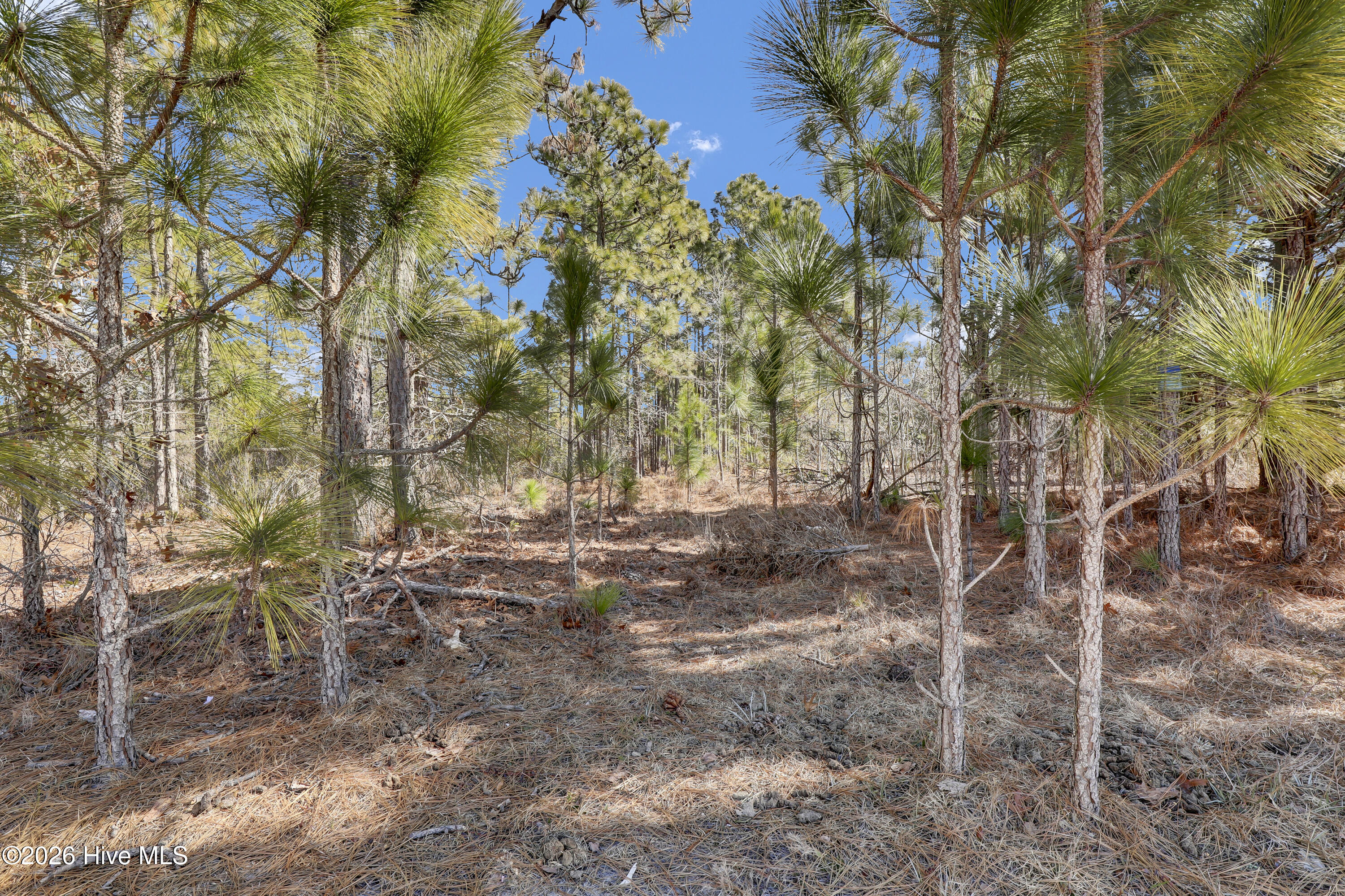 100554314 | Photo 26