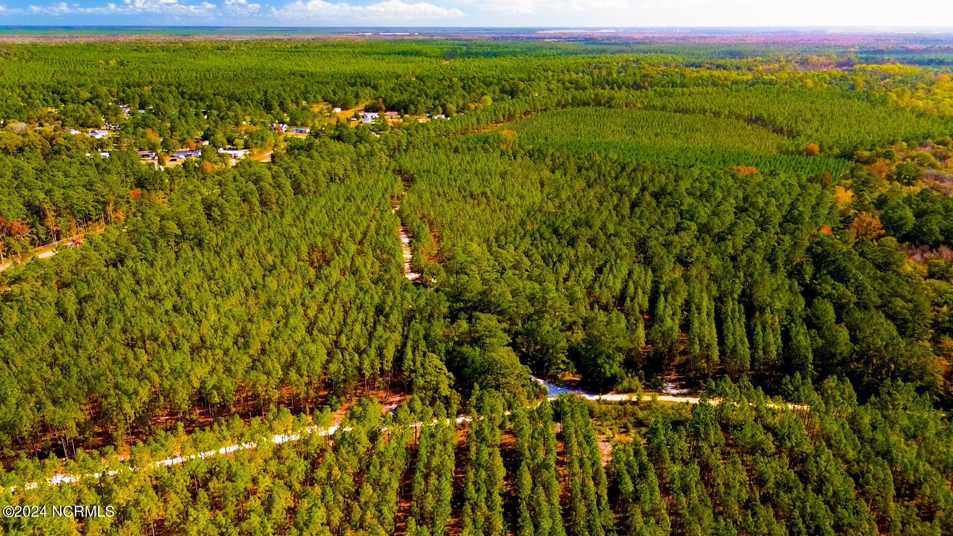 100429451 | Photo 11