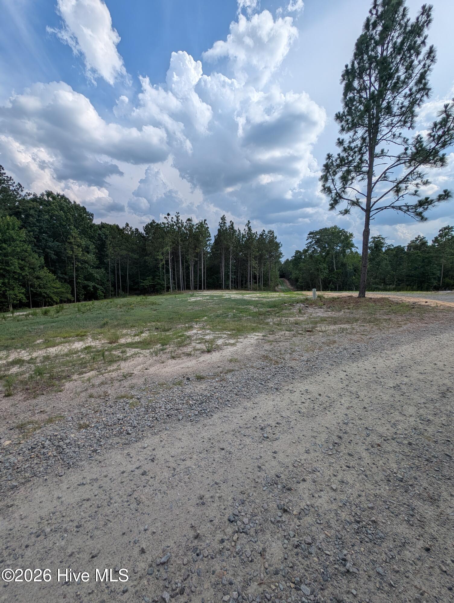 274 Charles, Eagle Springs, North Carolina, 0 ,Residential Lot,For sale,Charles,100591249 274 Charles, Eagle Springs, North Carolina, 0 ,Residential Lot,For sale,Charles,100591249