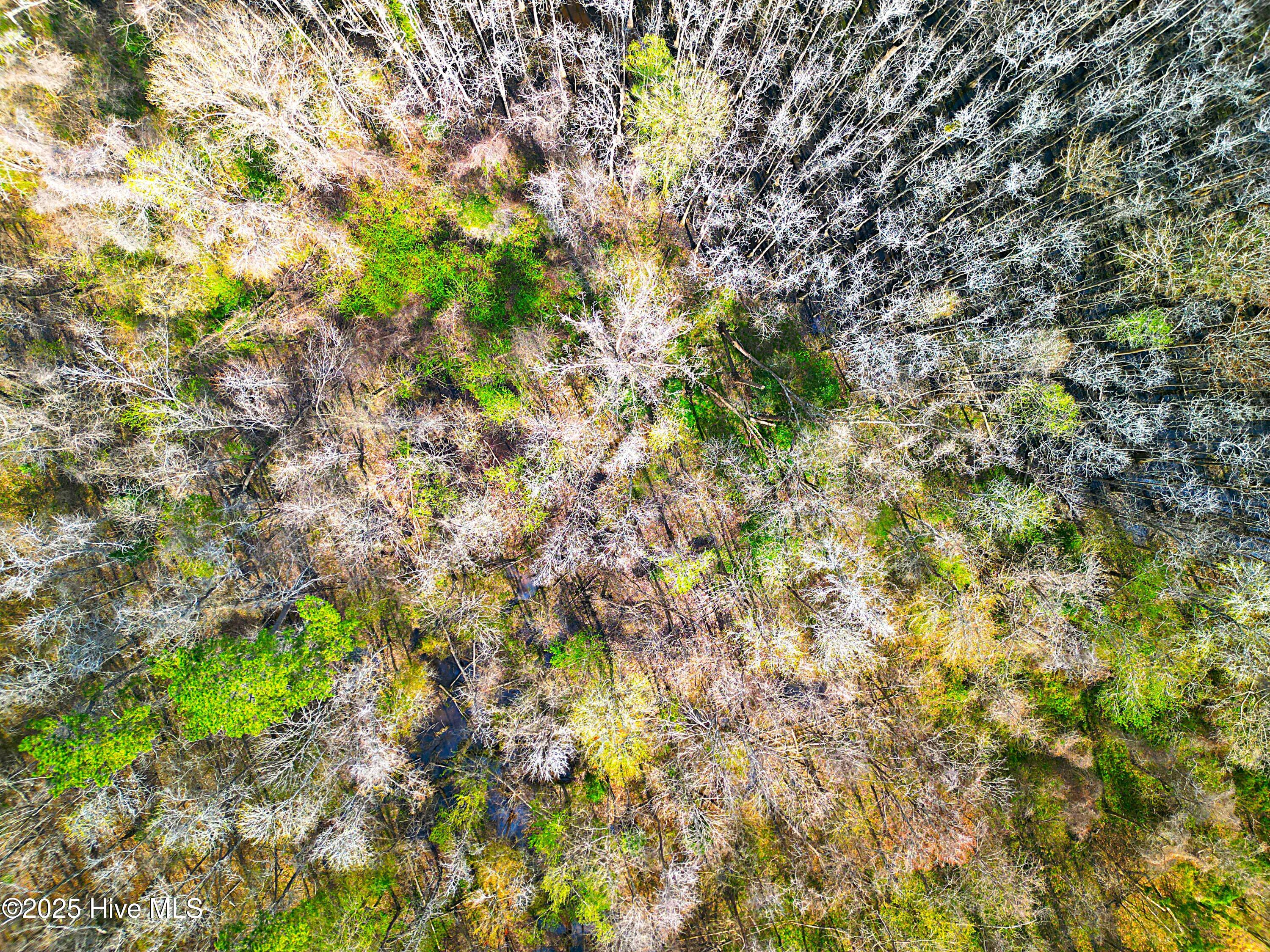 100496184 | Photo 33