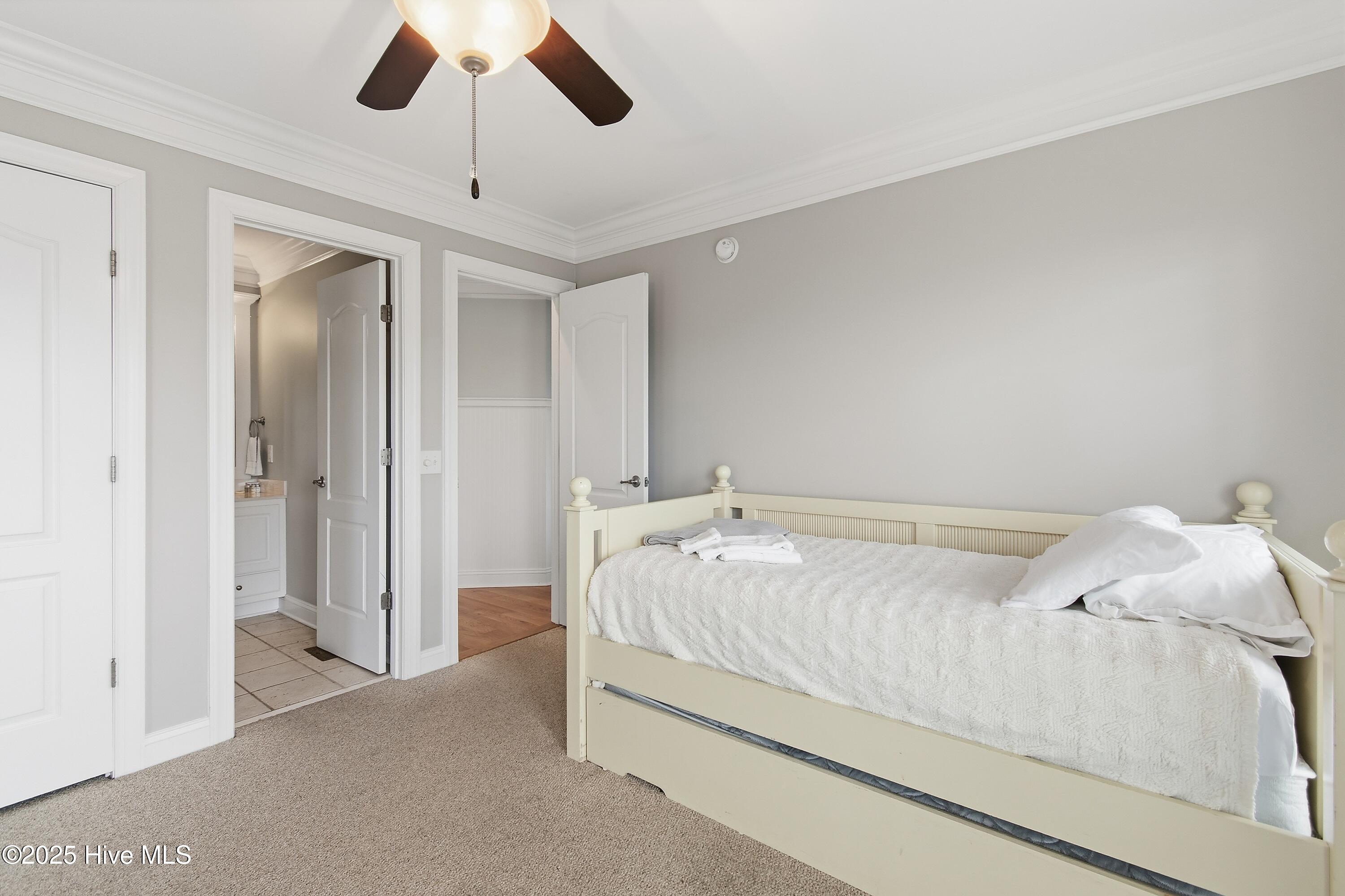 100541969 | Photo 45