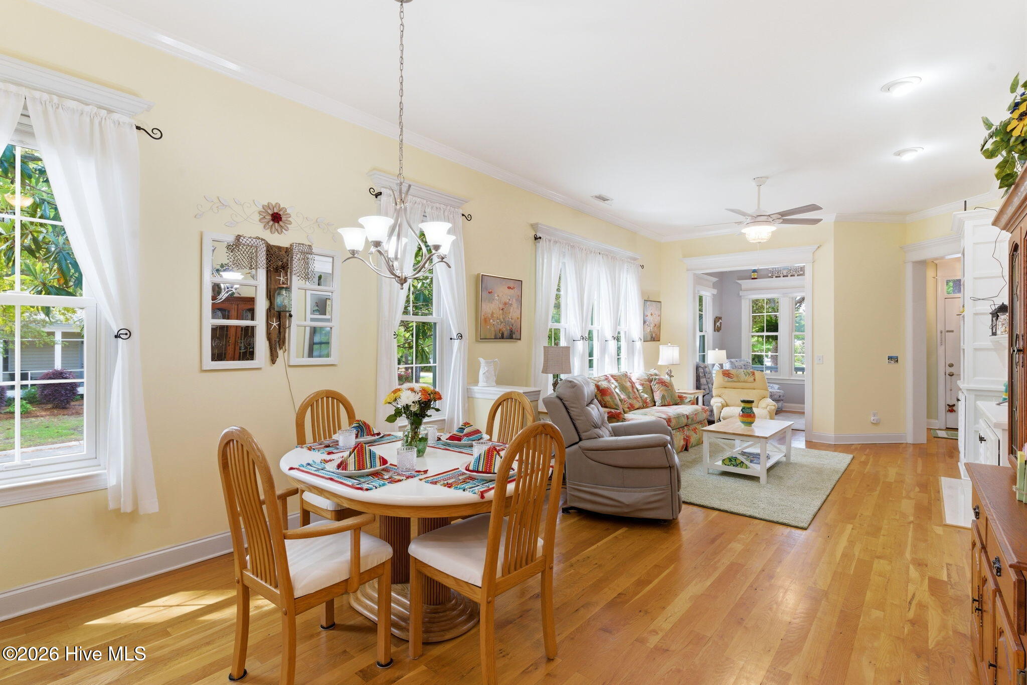 100569459 | Photo 13