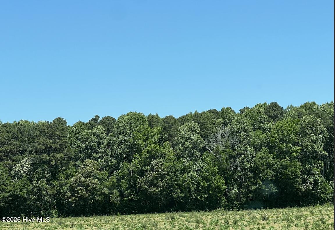 Homes for sale in Camden, NC | Tbd Hwy S, Camden, NC 27921 | MLS# 100575464