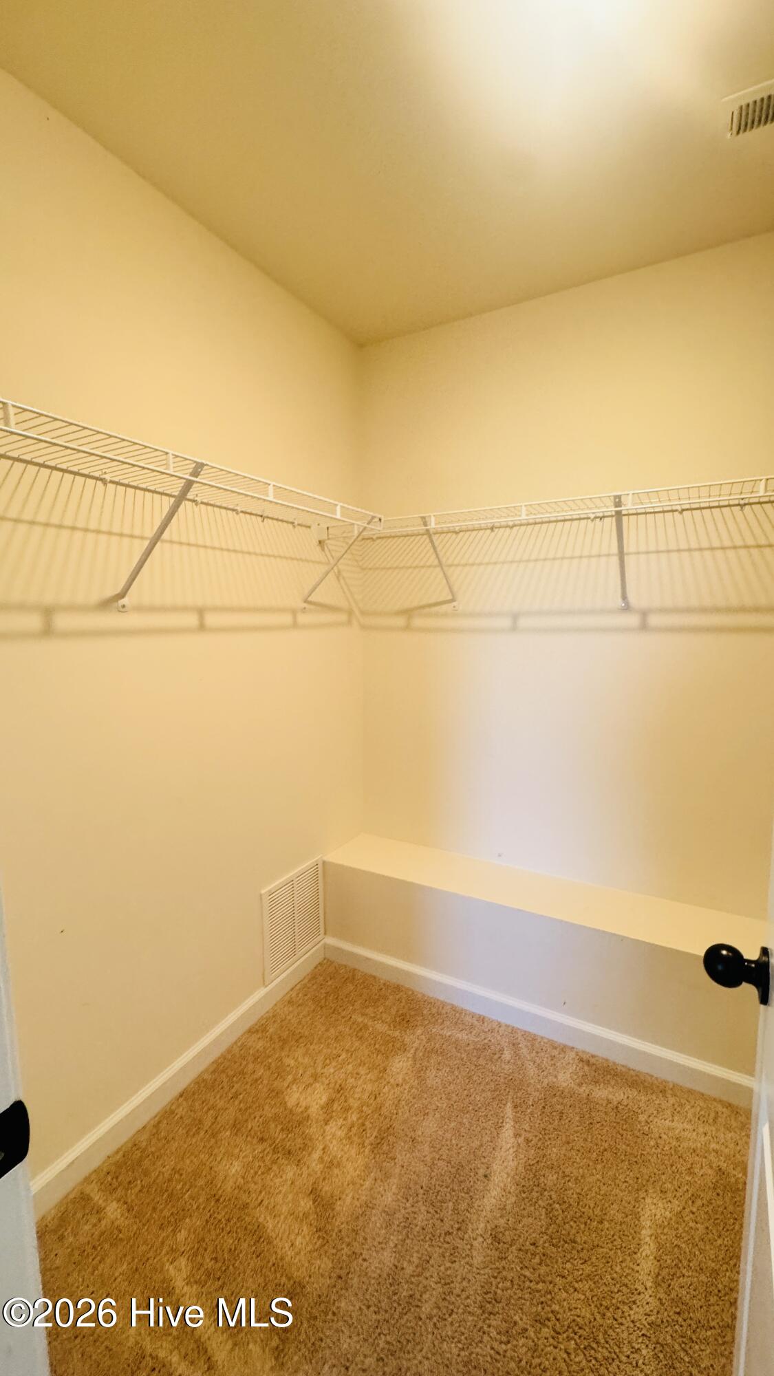 100563826 | Photo 11