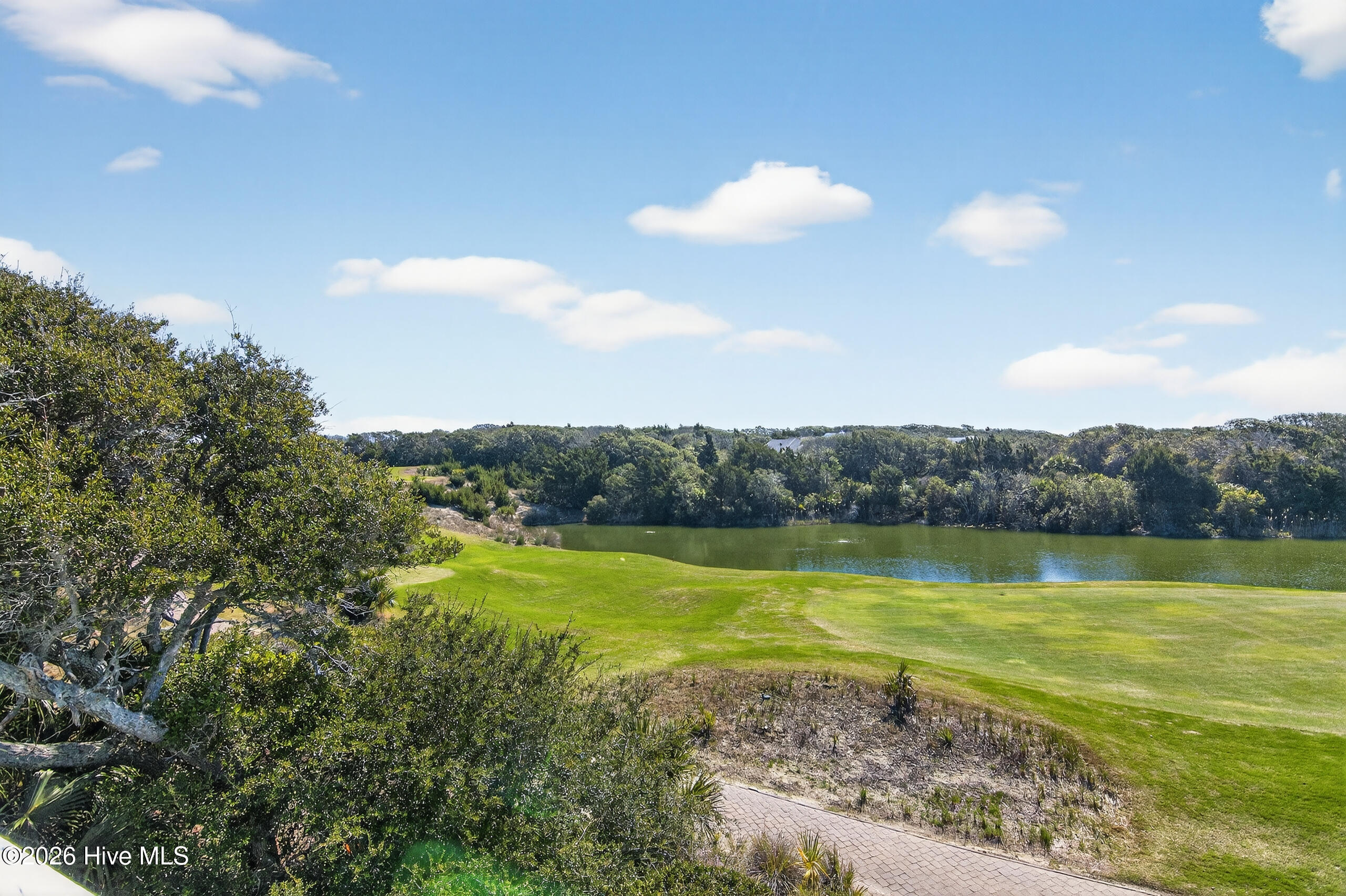 100565192 | Photo 47