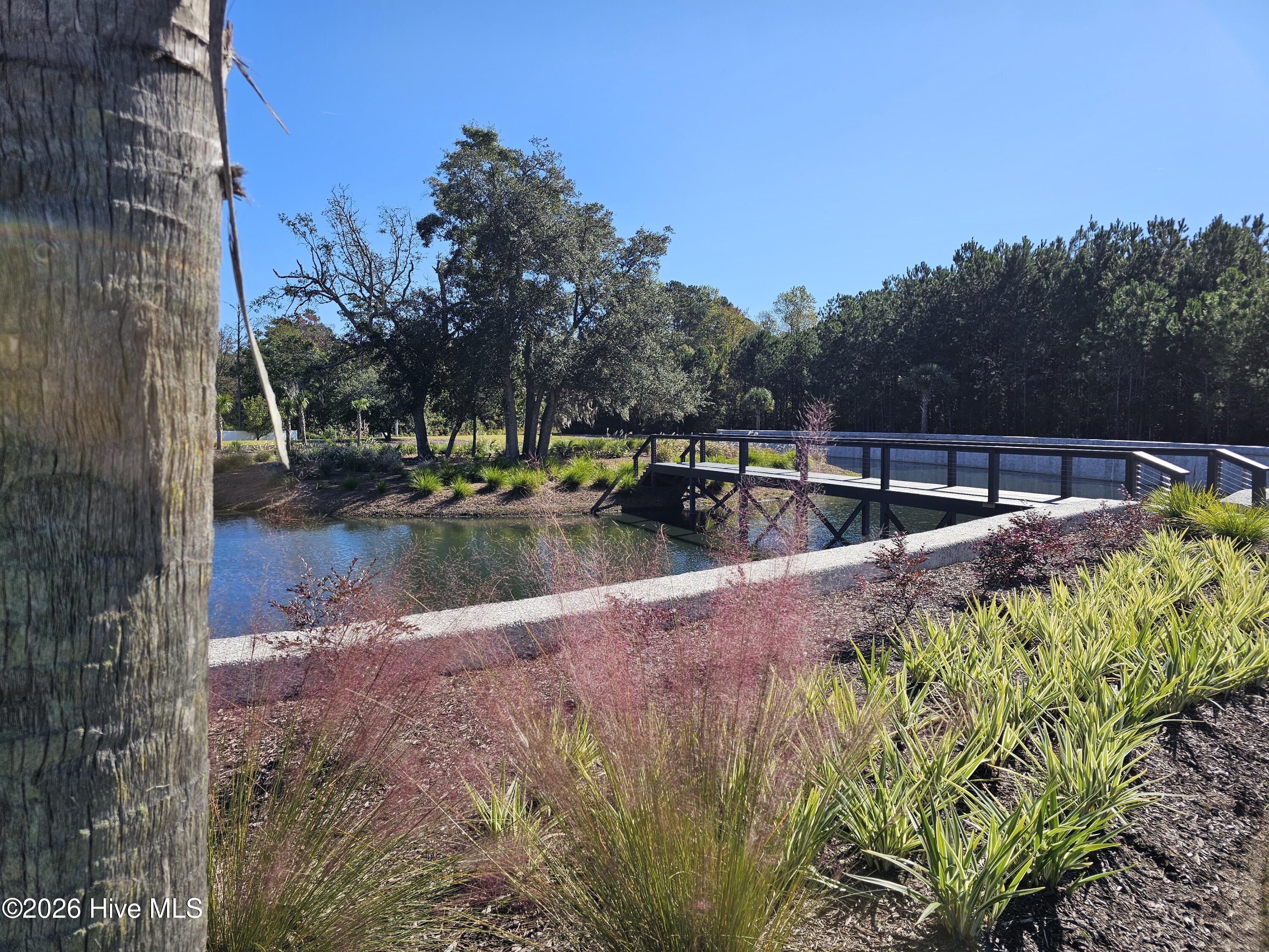 100557124 | Photo 31