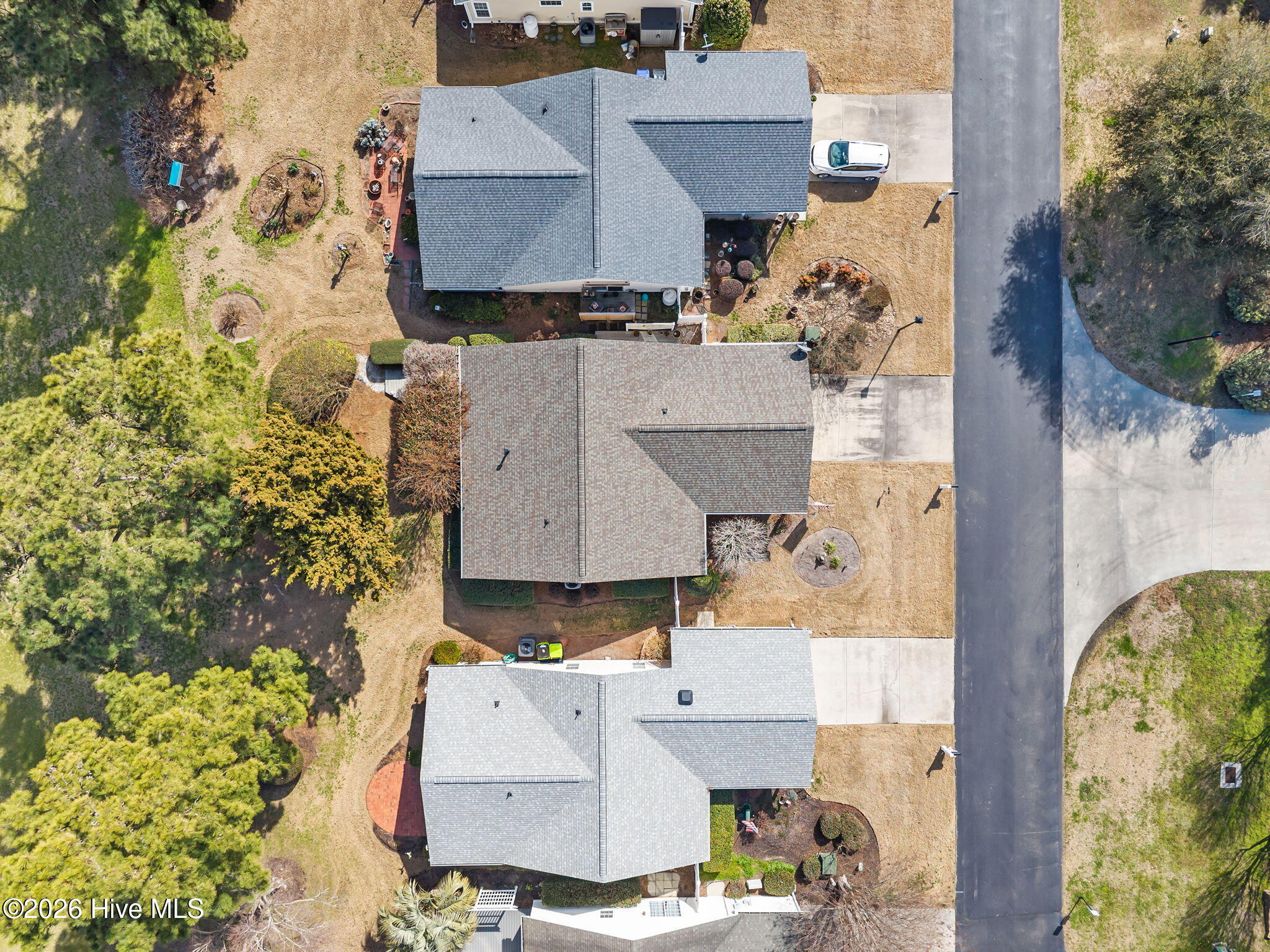 100556282 | Photo 46