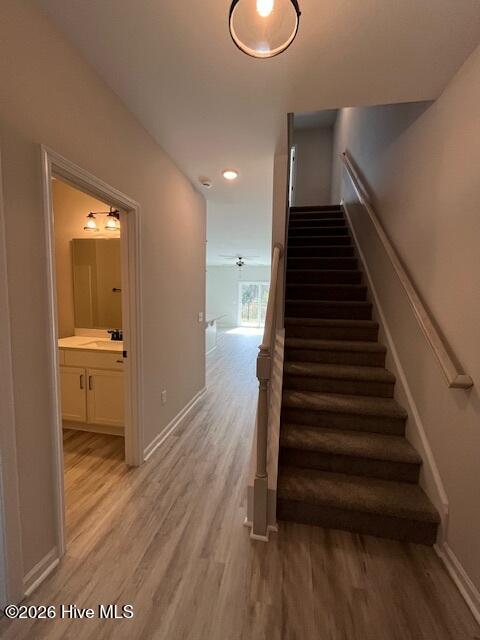 100565791 | Photo 15