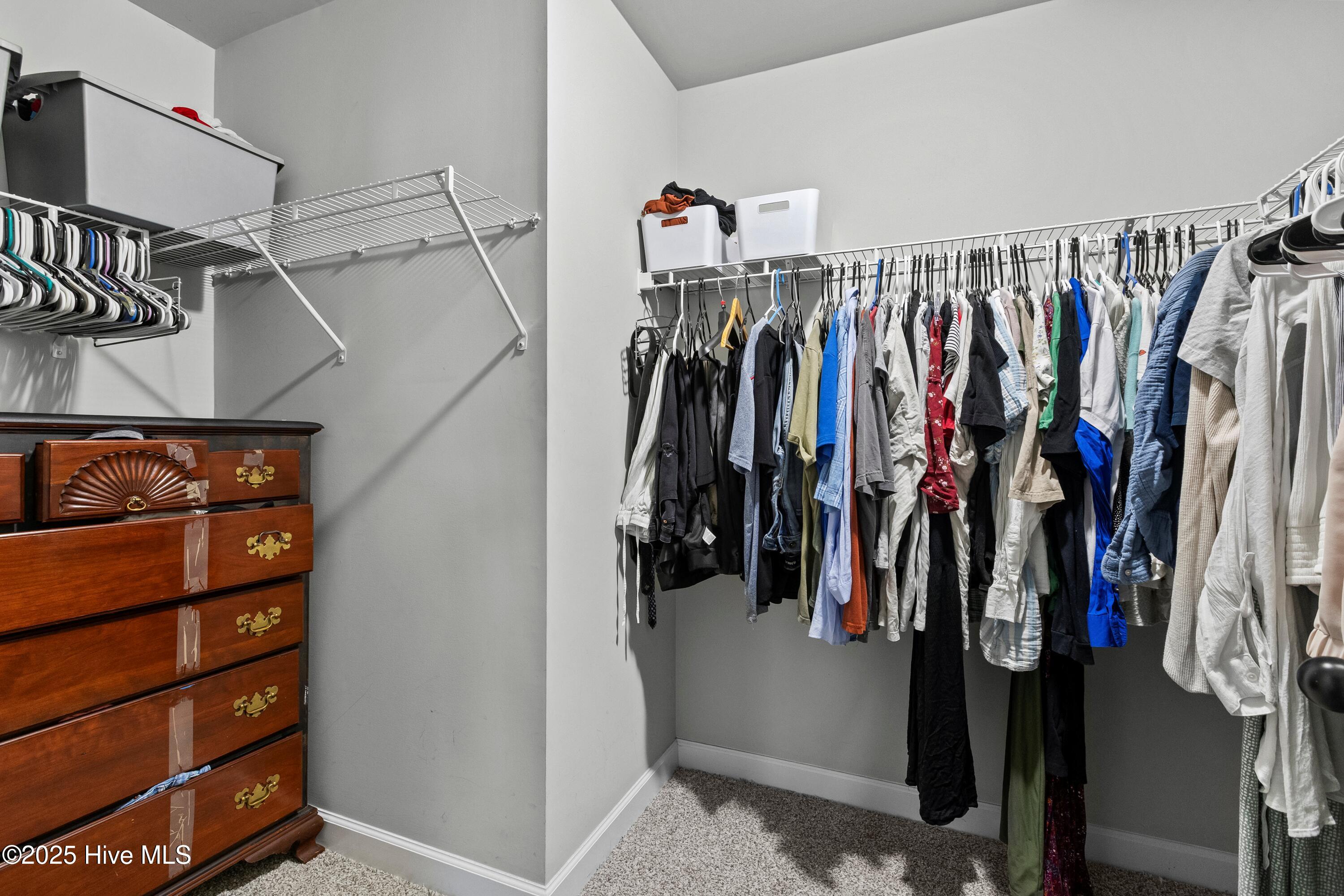 100545140 | Photo 25