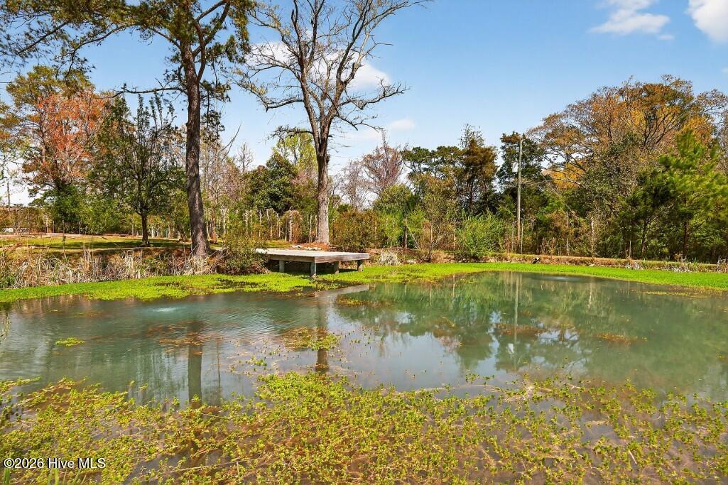 100562311 | Photo 16