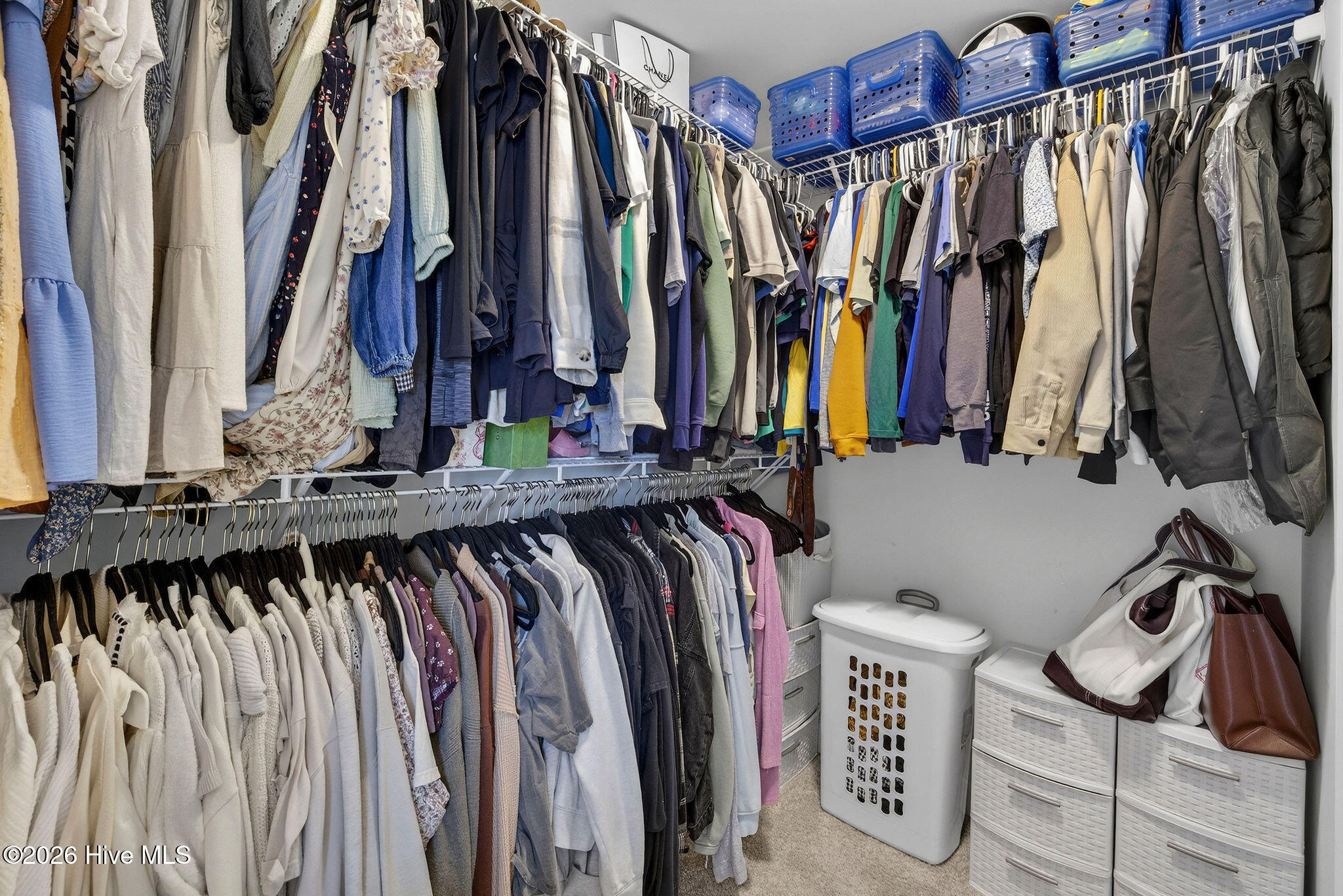 100563474 | Photo 19