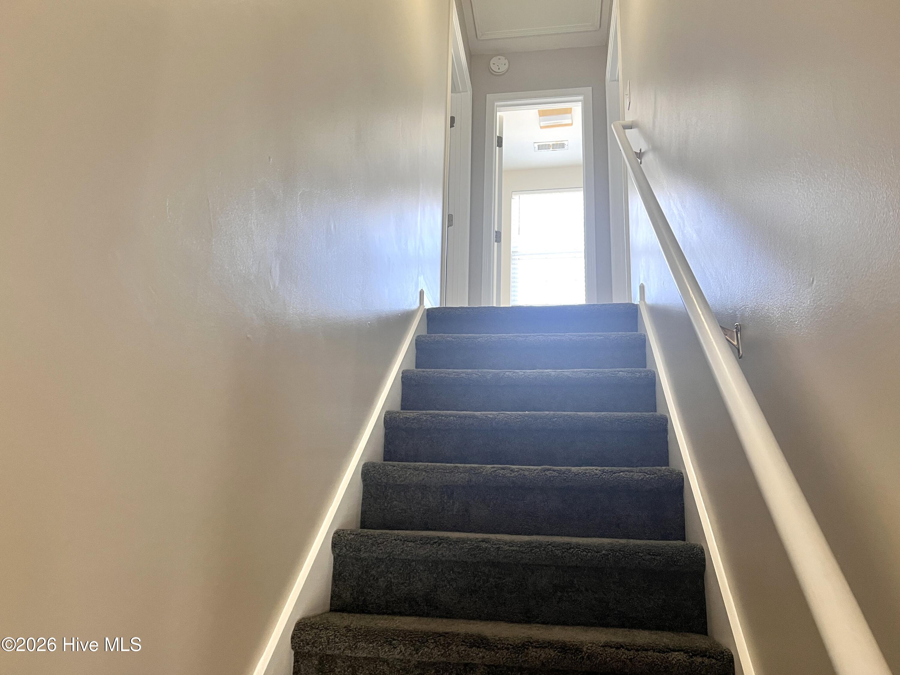 100555506 | Photo 11