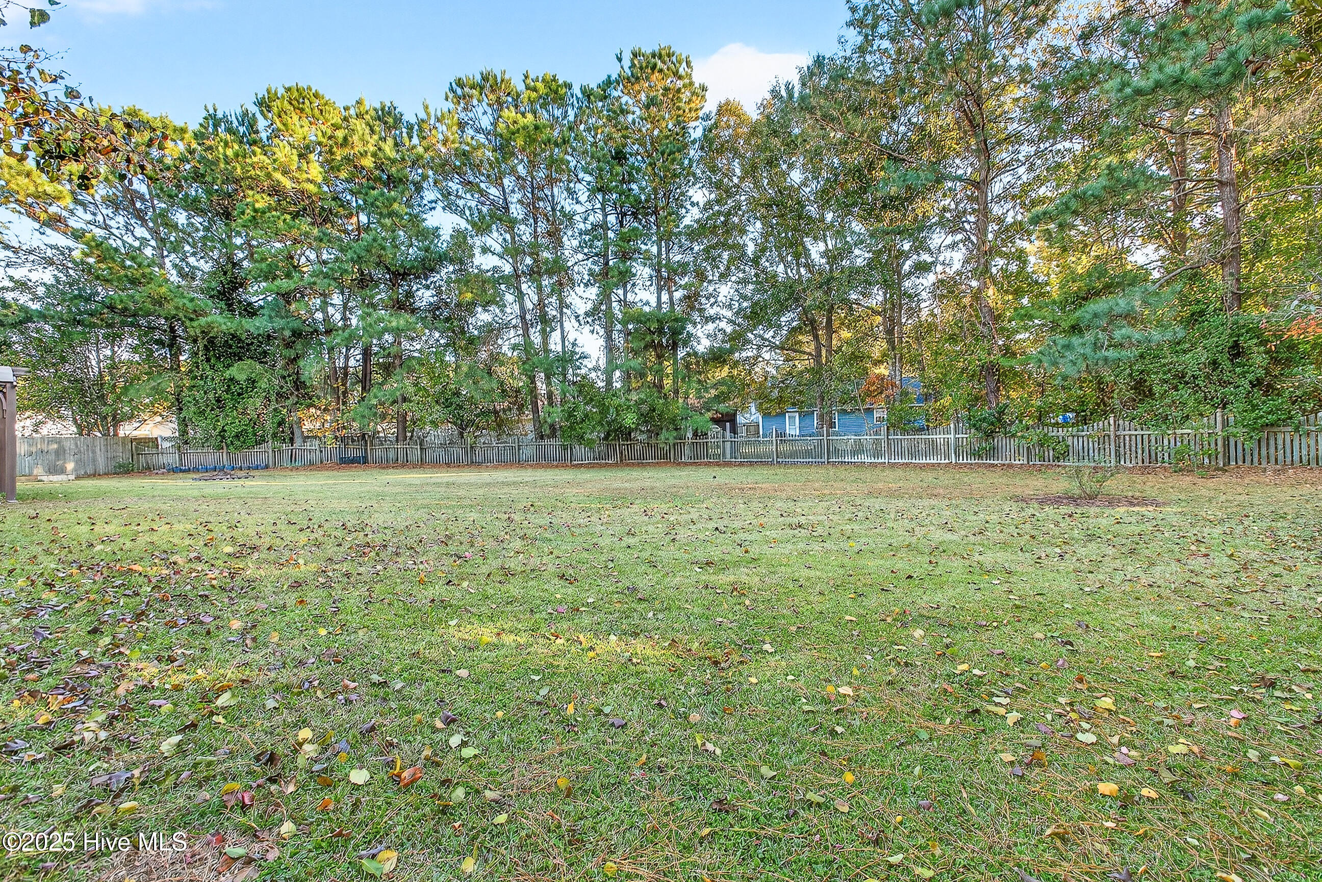 100541143 | Photo 25