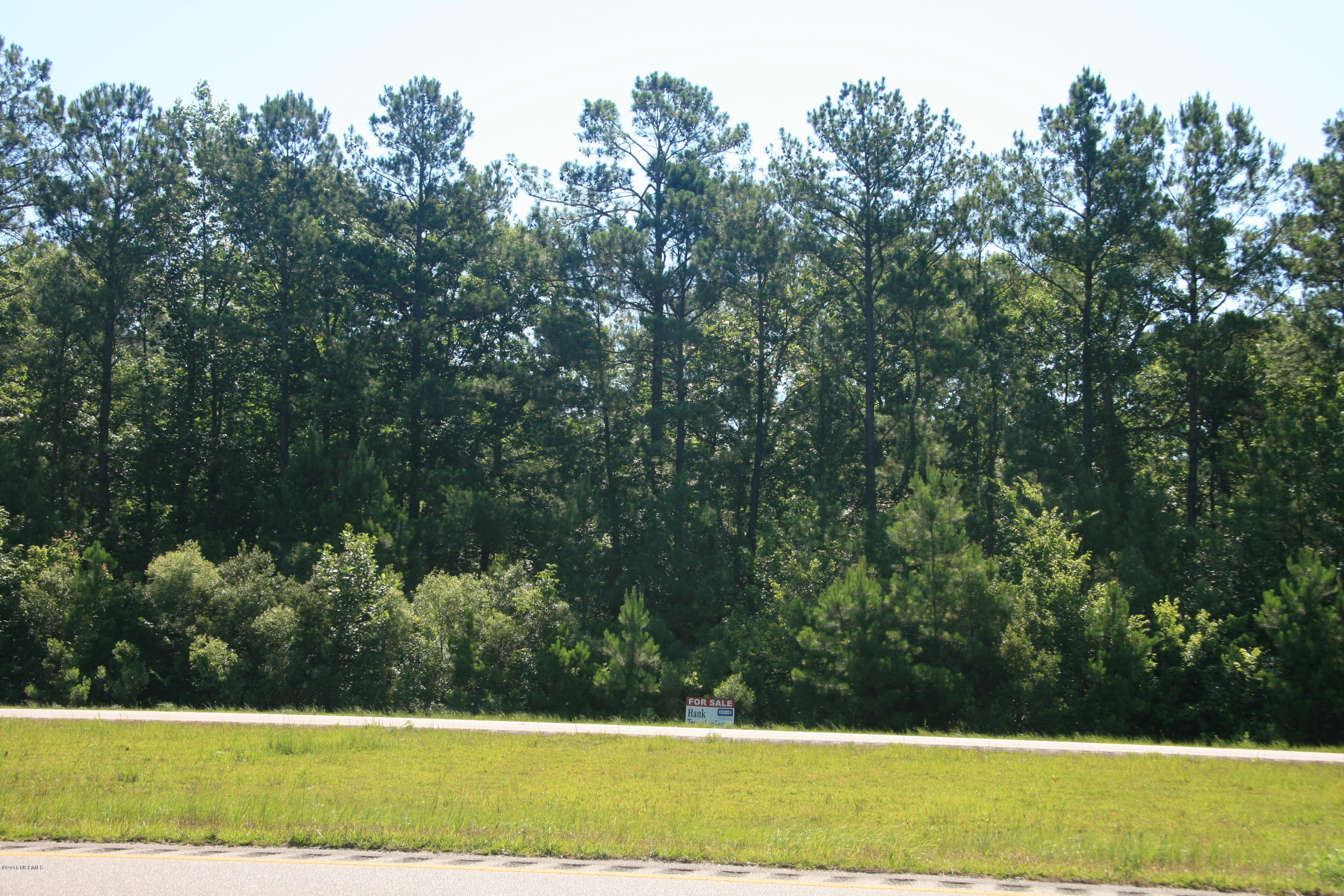 100606556 | Photo 2