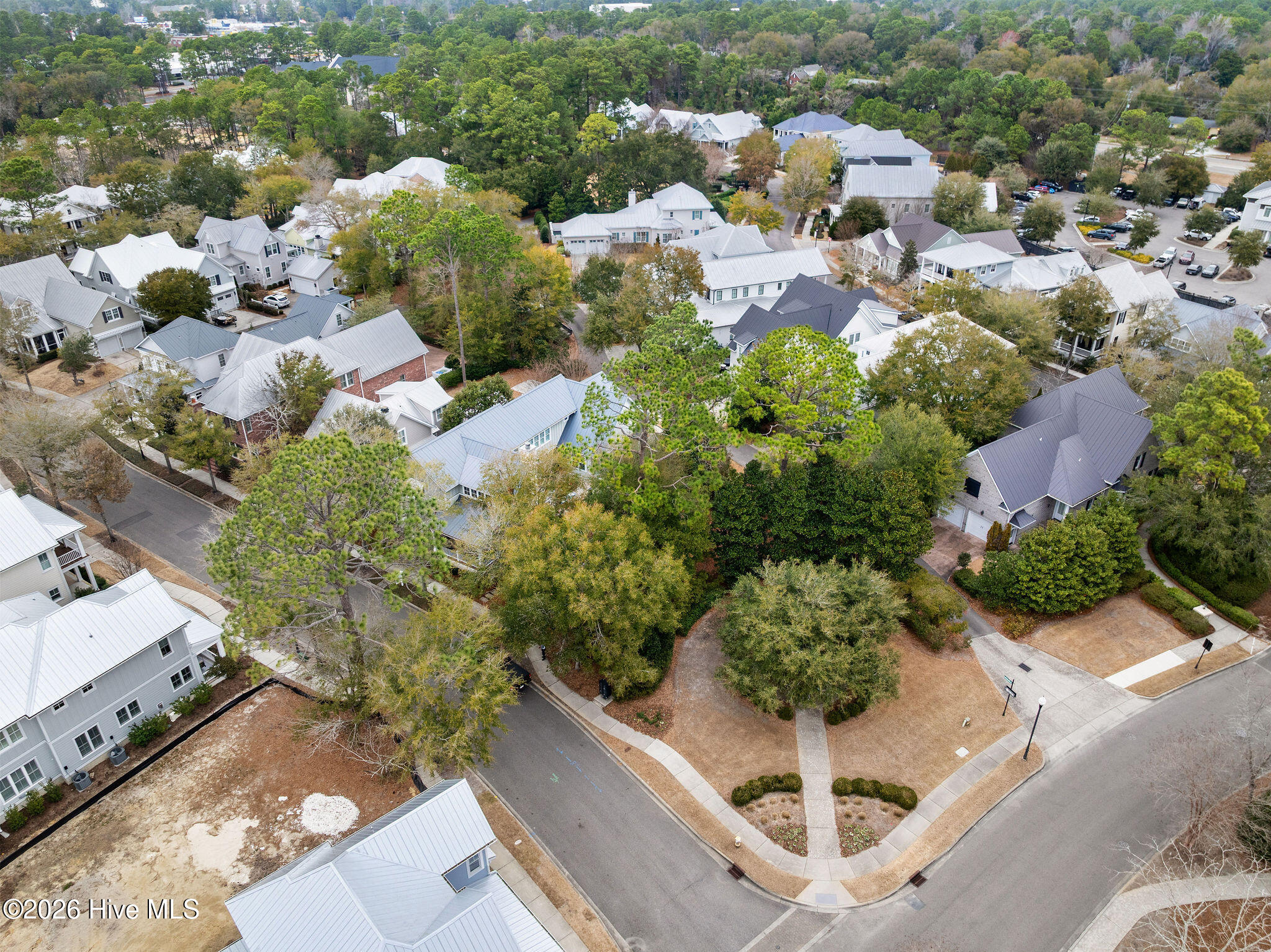 100553604 | Photo 92