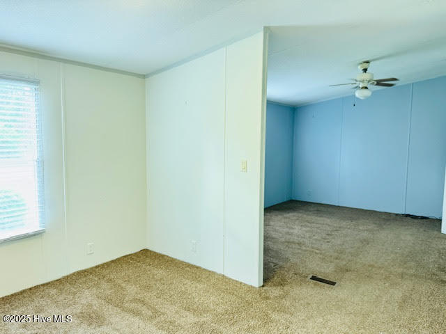 100544706 | Photo 21