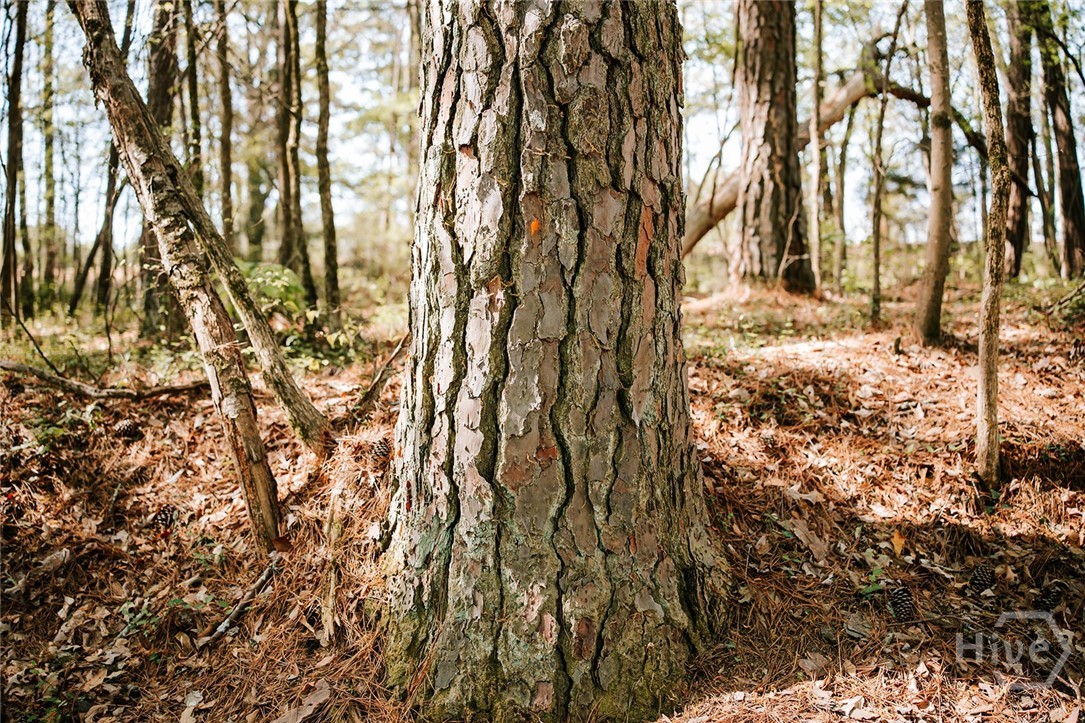 000 Union Point Road, Stephens, GA, 30667