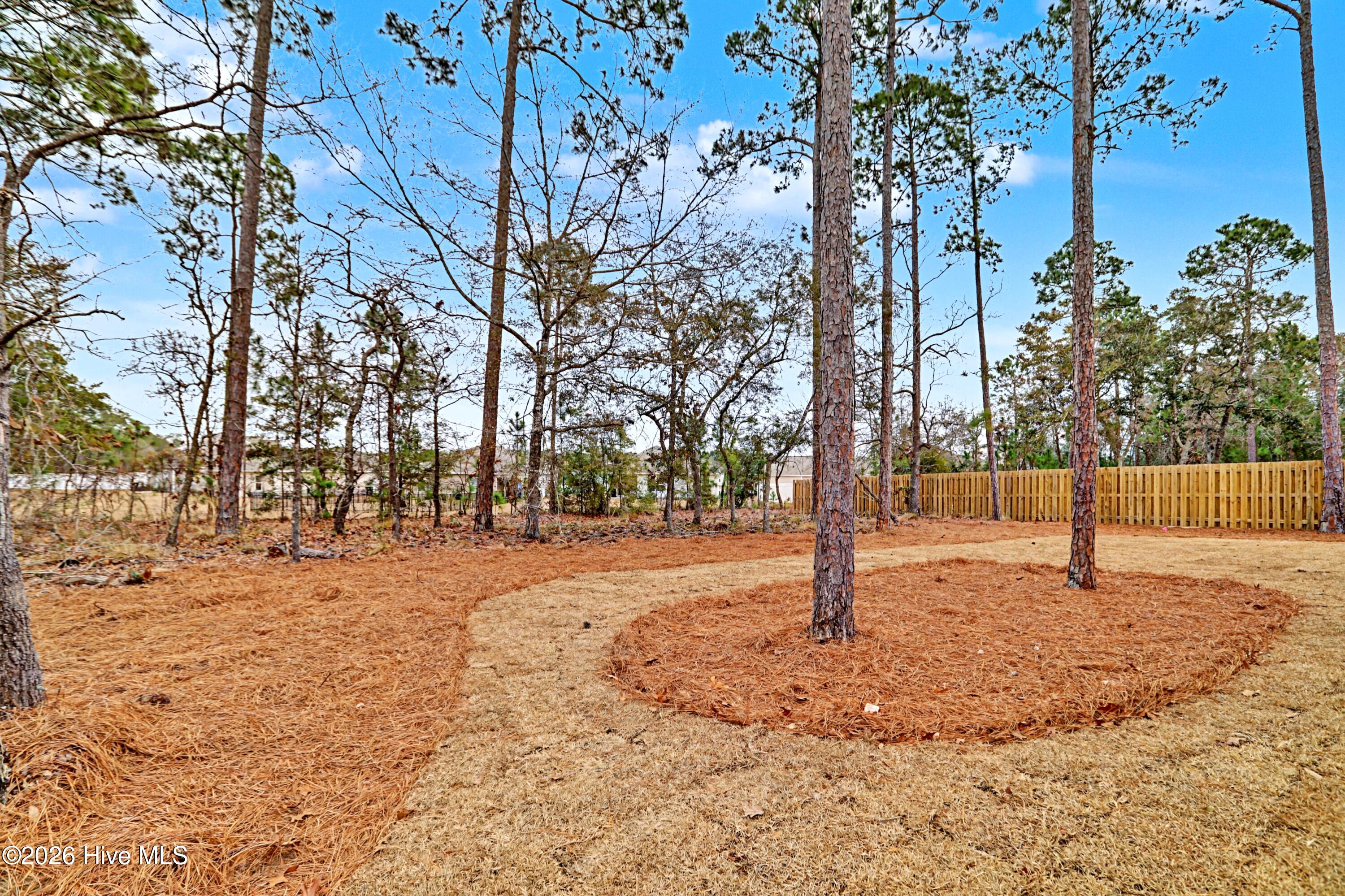 100555122 | Photo 34