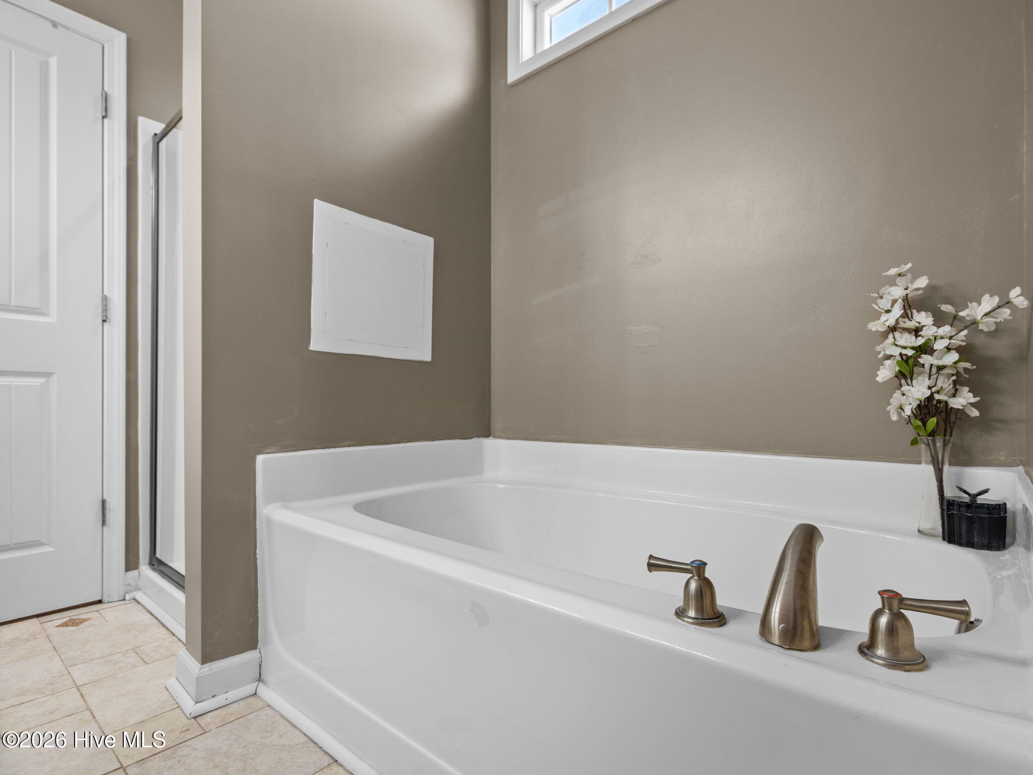 100547067 | Photo 31