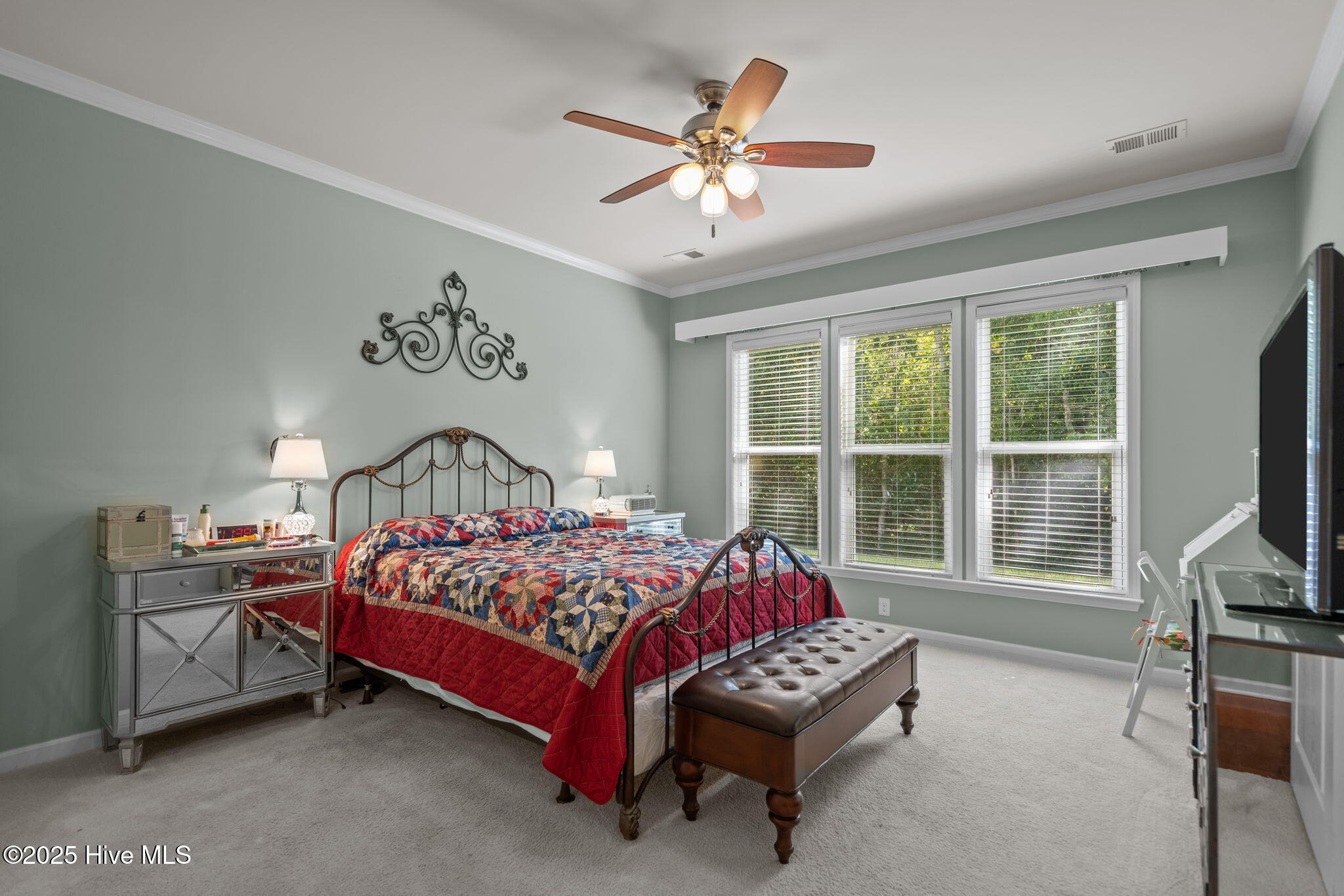 100515173 | Photo 23