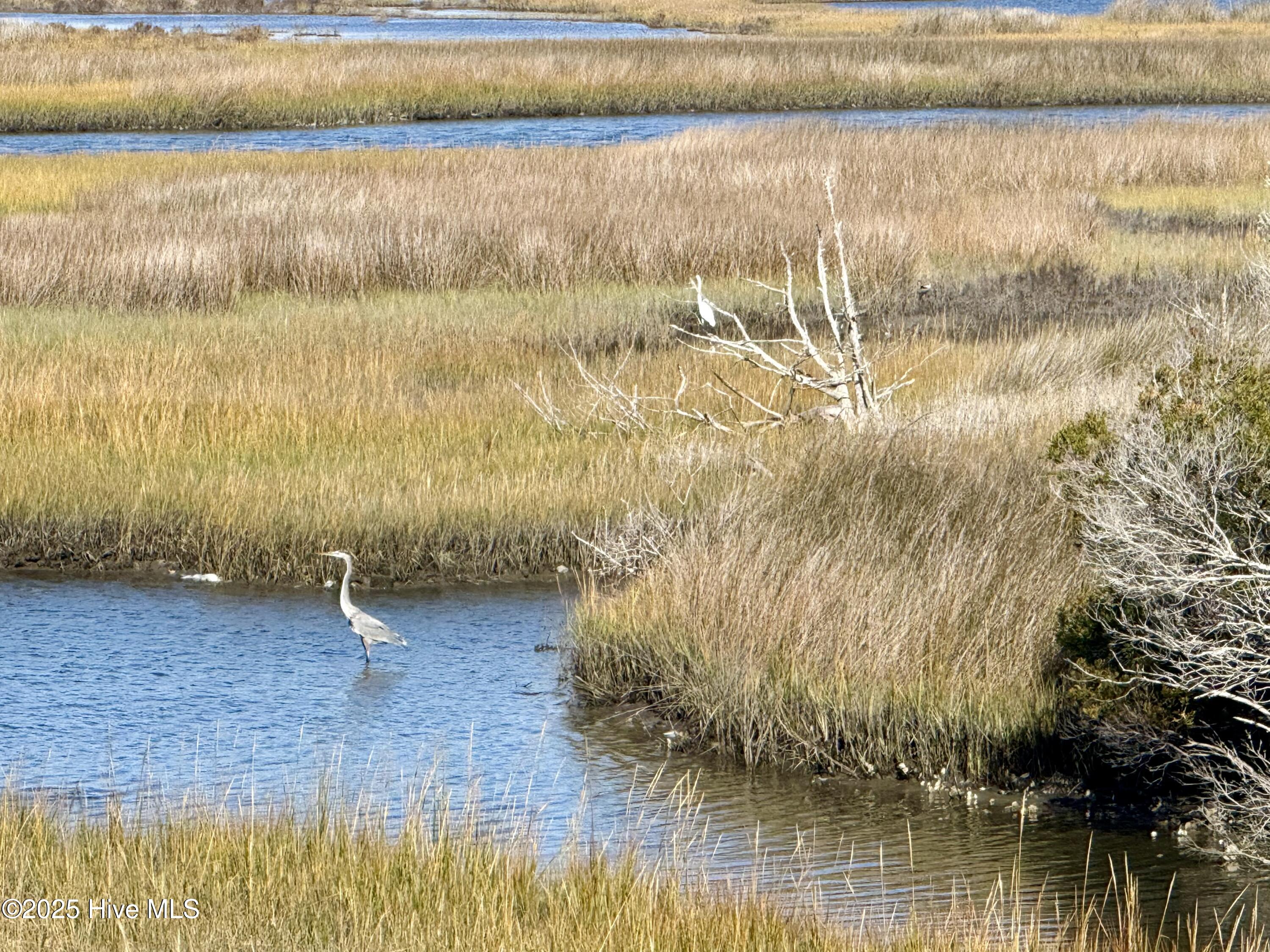 100496127 | Photo 27