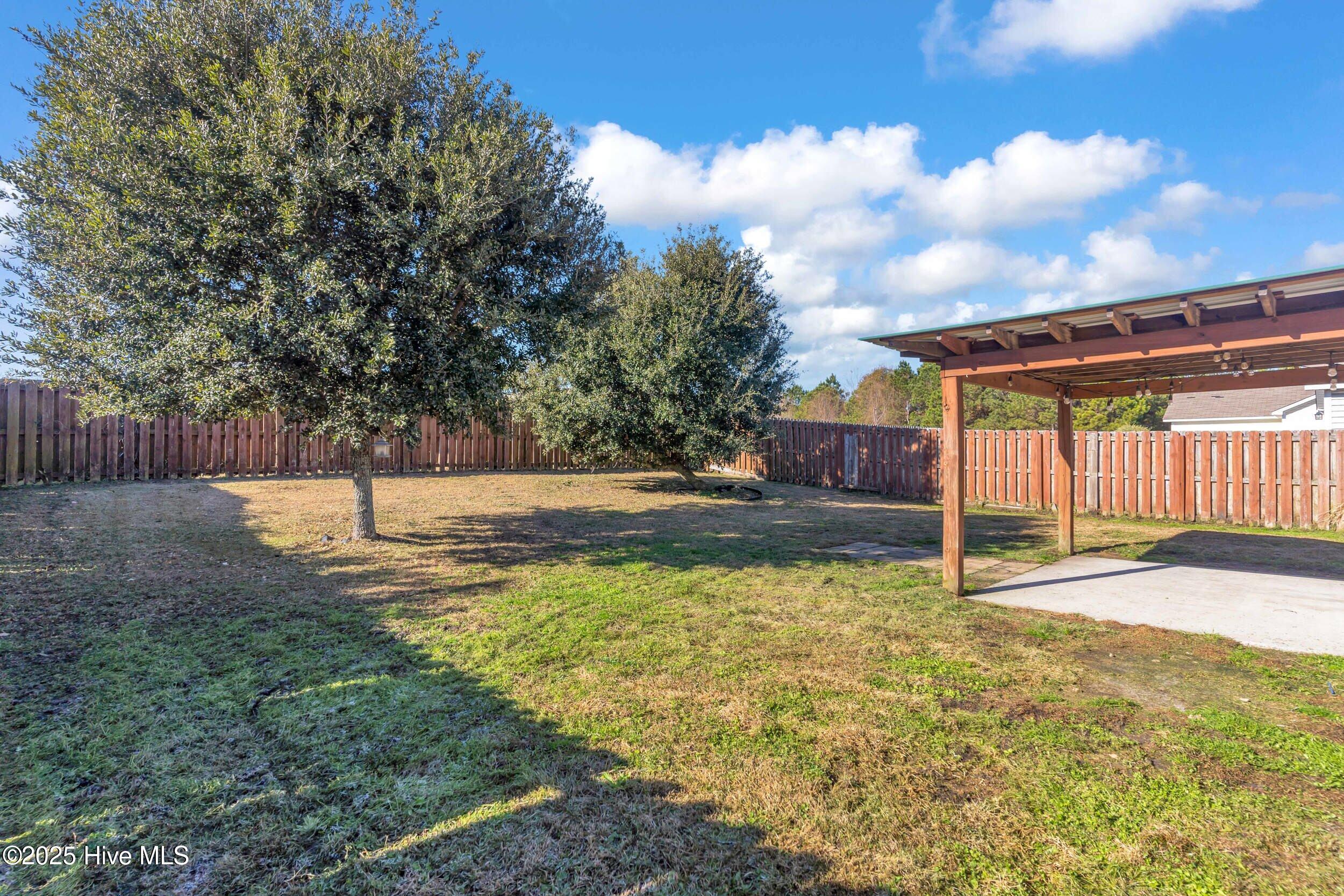 100545882 | Photo 31