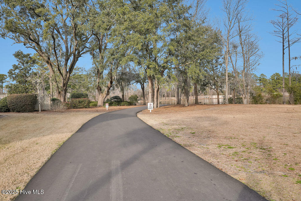 100531684 | Photo 65