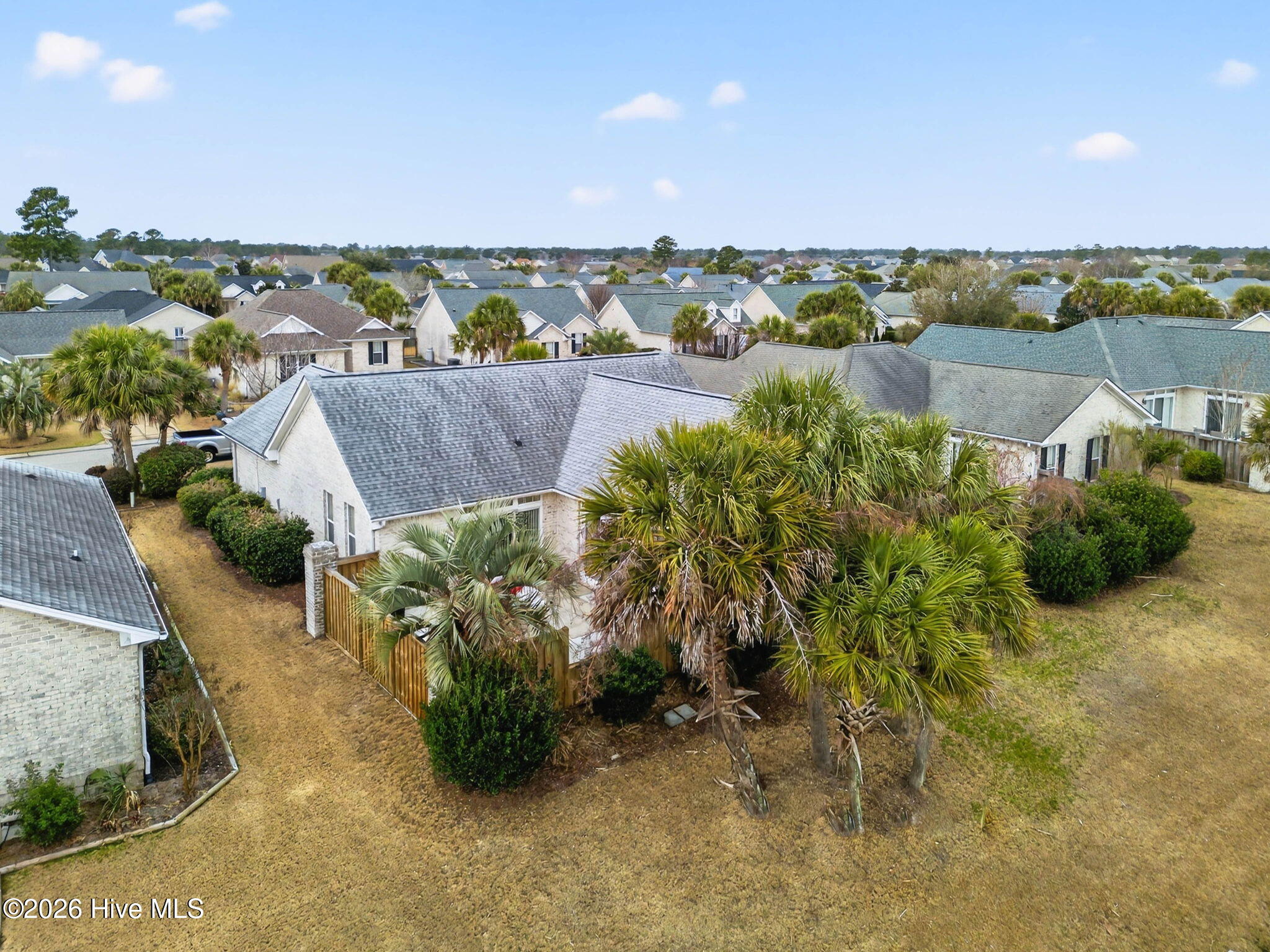 100556001 | Photo 34