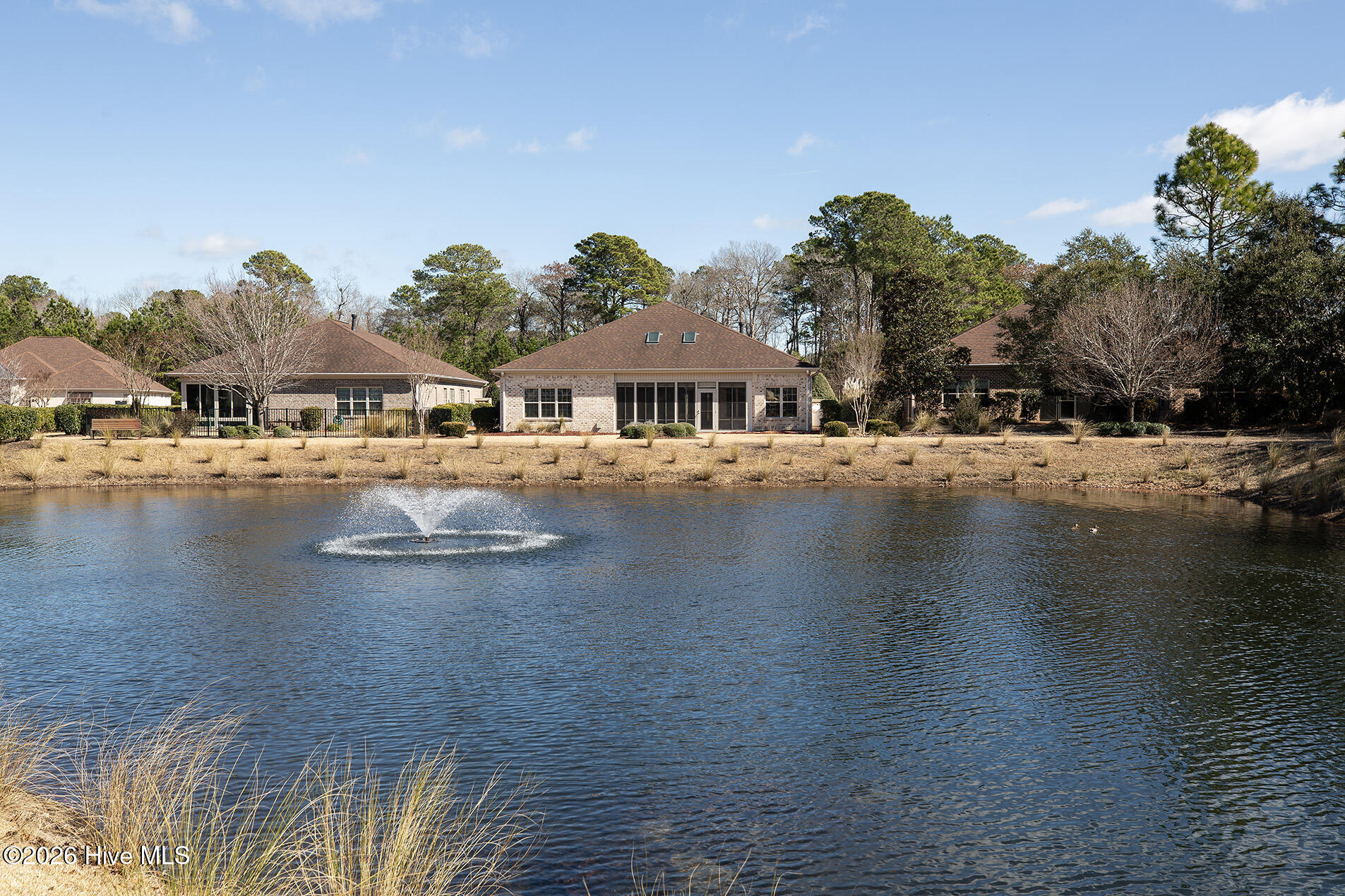 100556141 | Photo 42