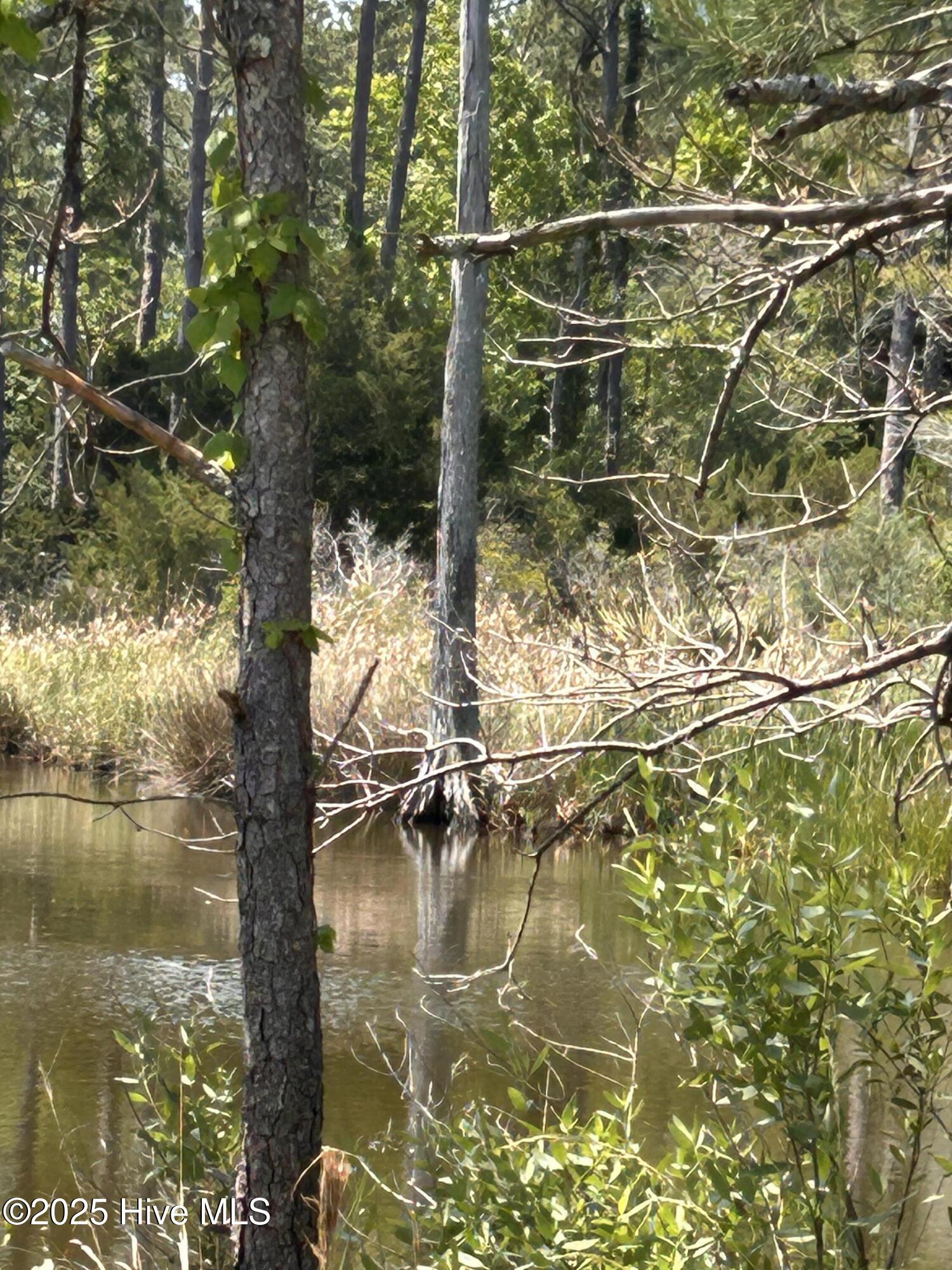 Homes for sale in Beaufort, NC | 135 Martin Creek Dr, Beaufort, NC 28516 | MLS# 100508965