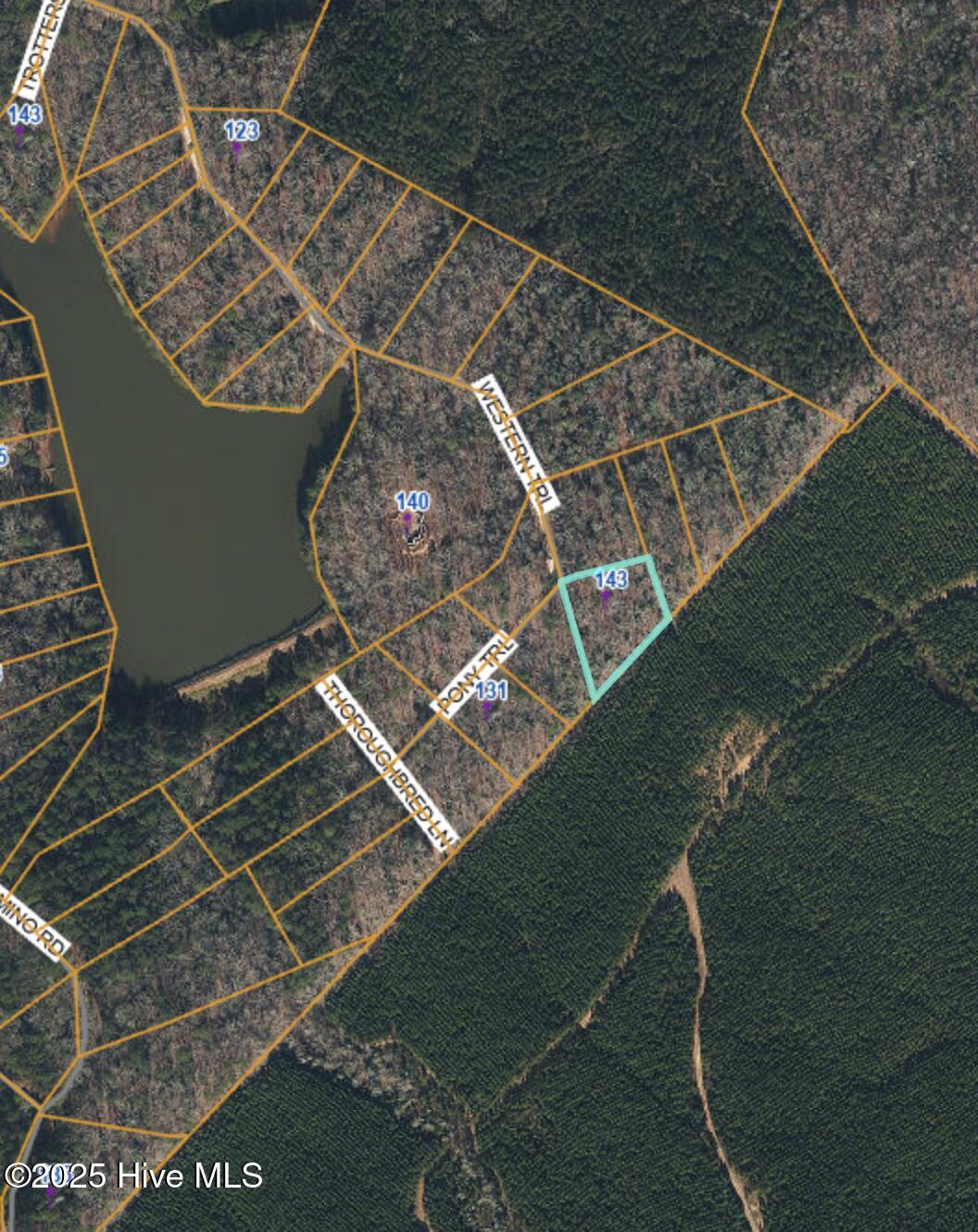 Screenshot 2025-04-04 at 9.03.55PM