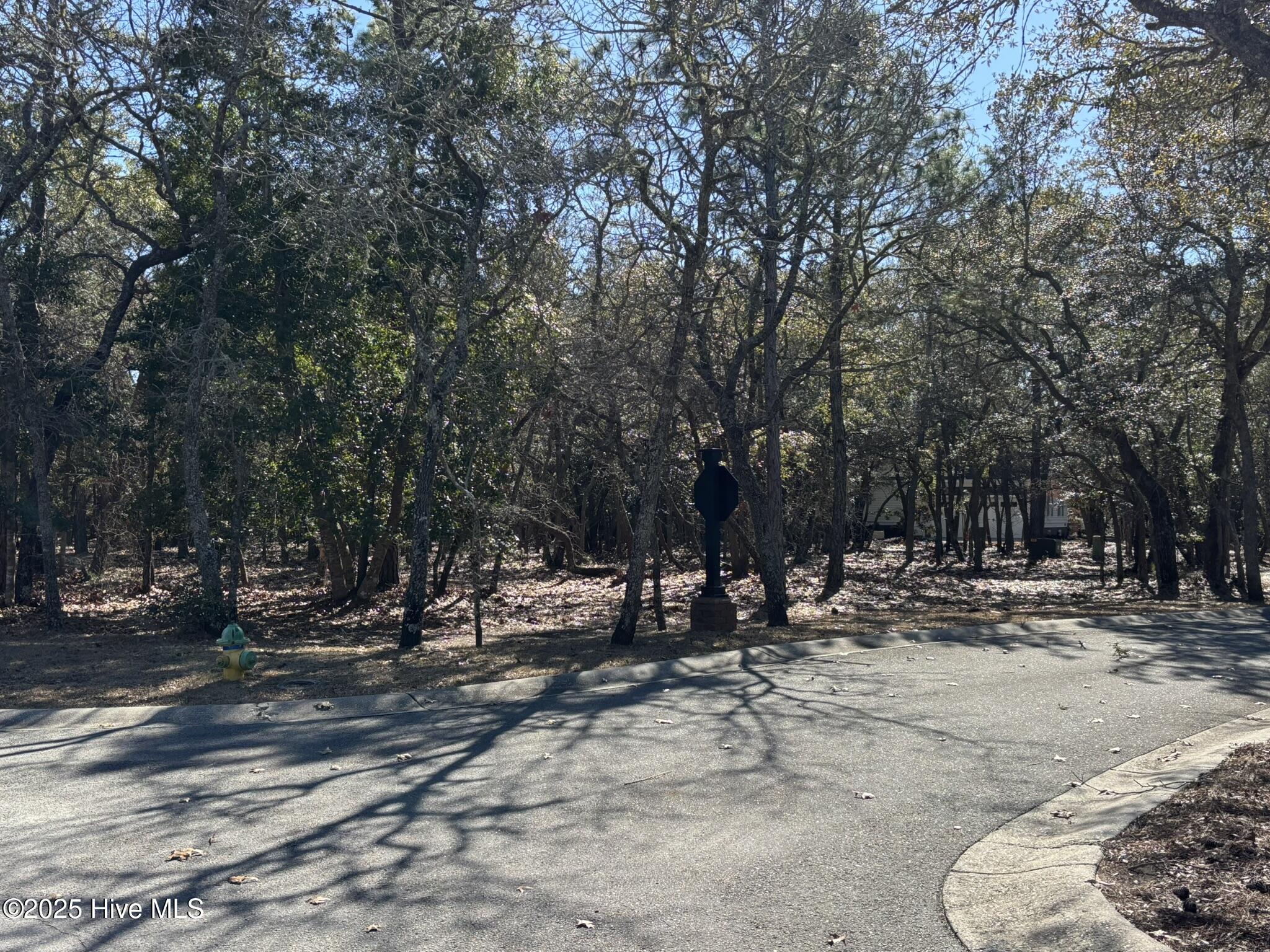 100498169 | Photo 10