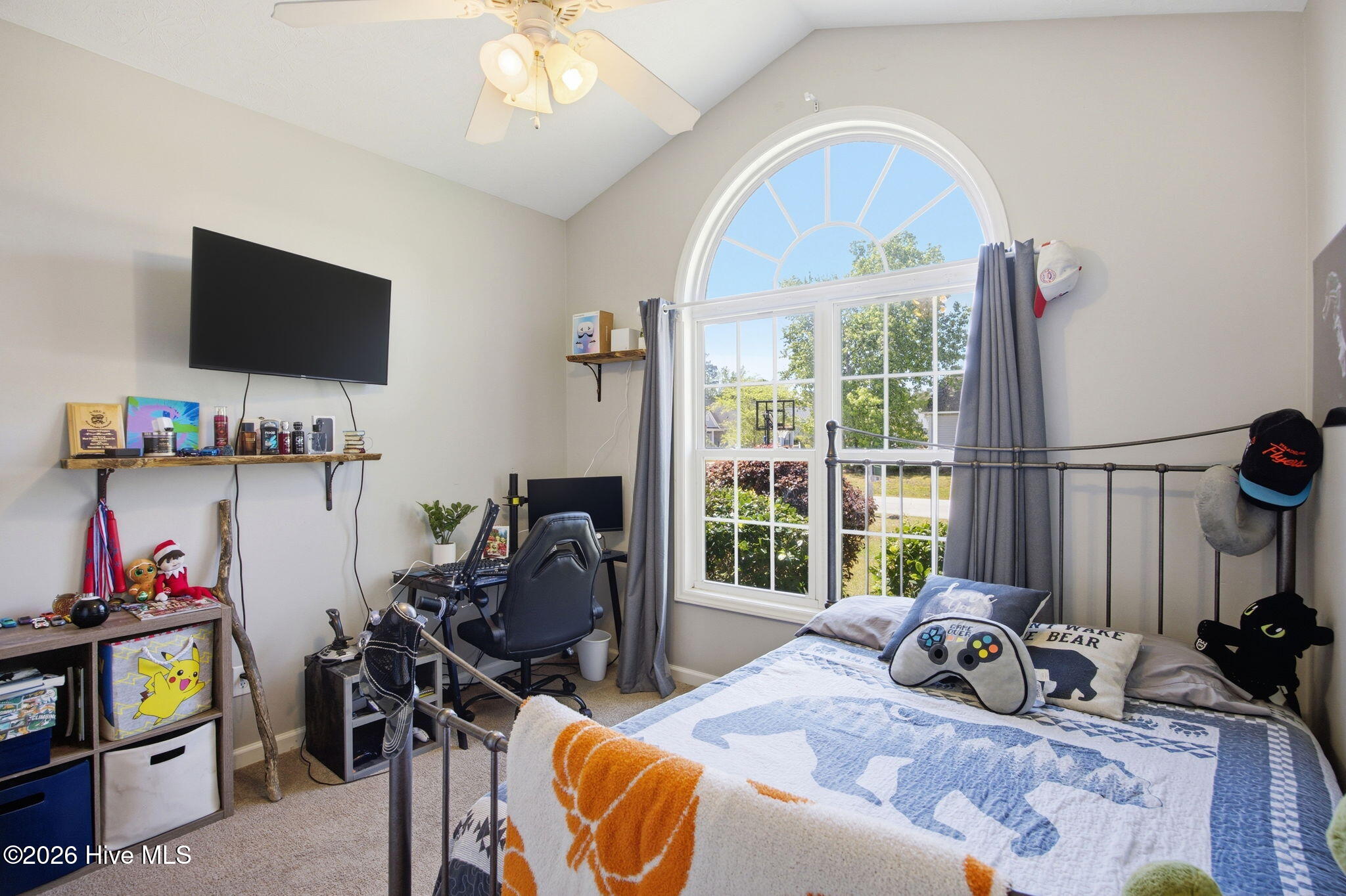 100567887 | Photo 23