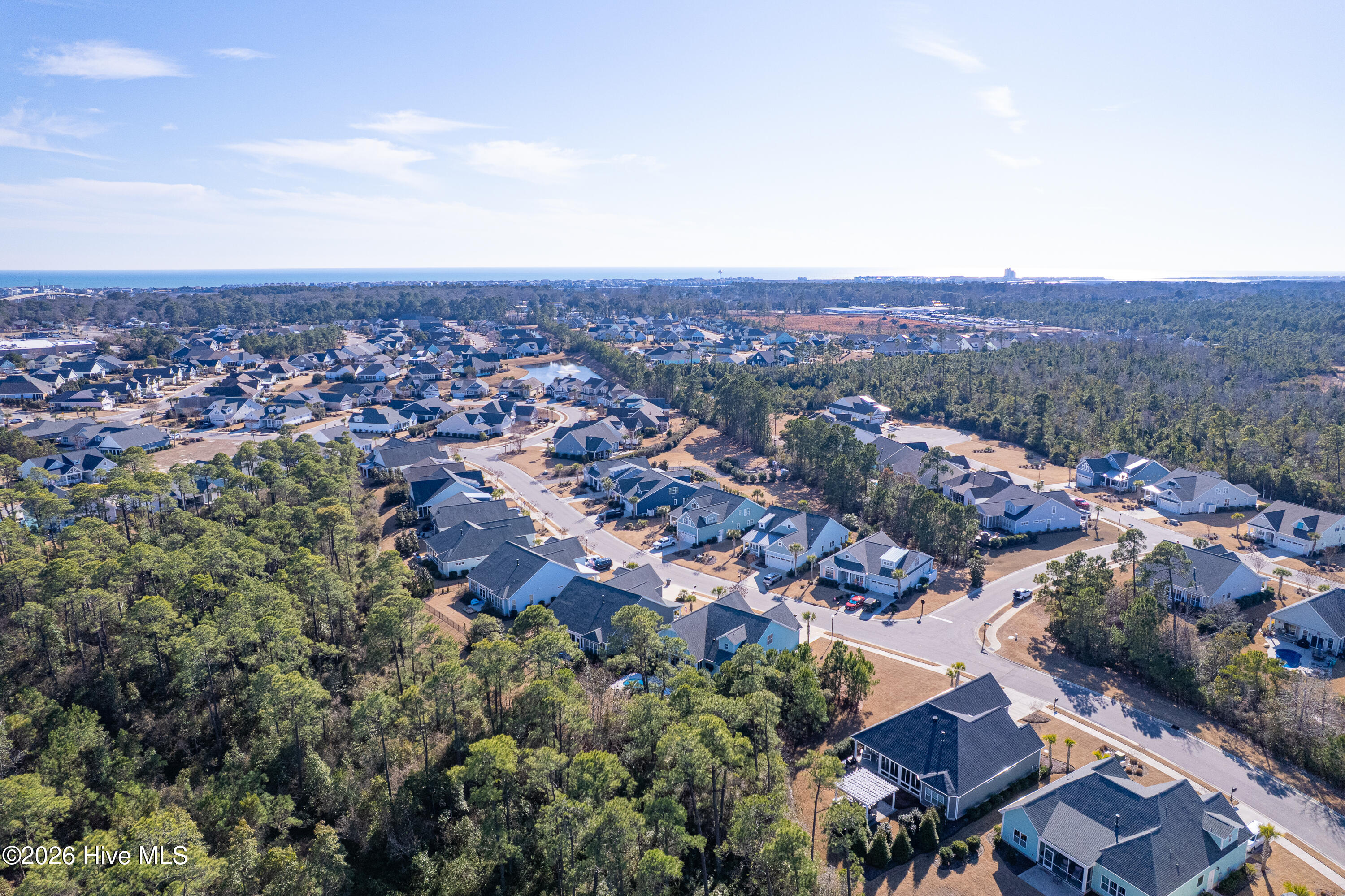 100551306 | Photo 74